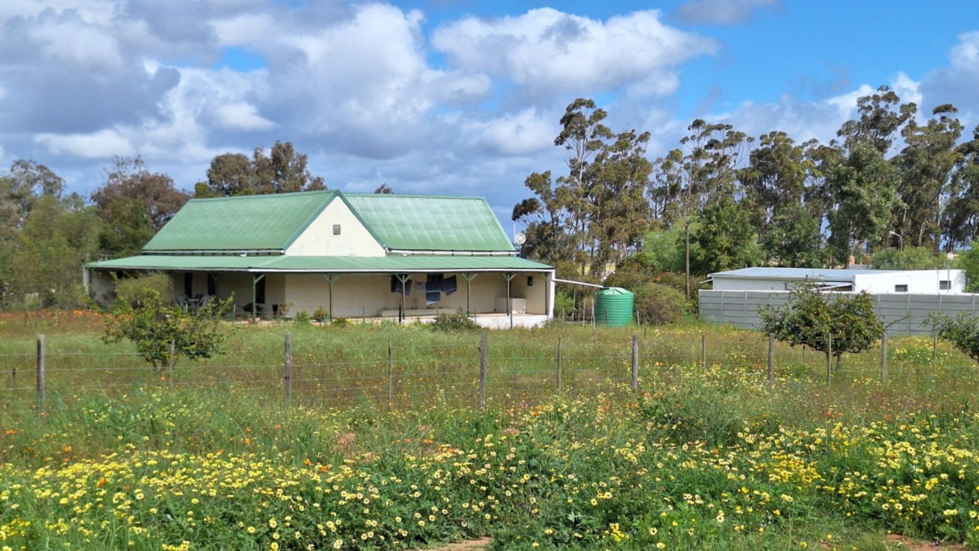 Image 6