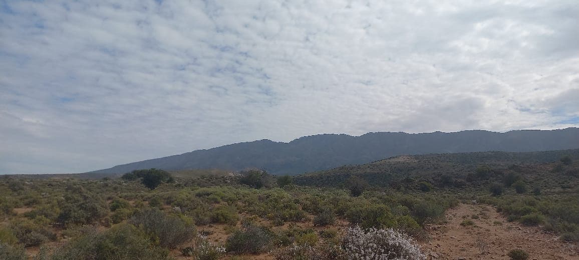 Image 13