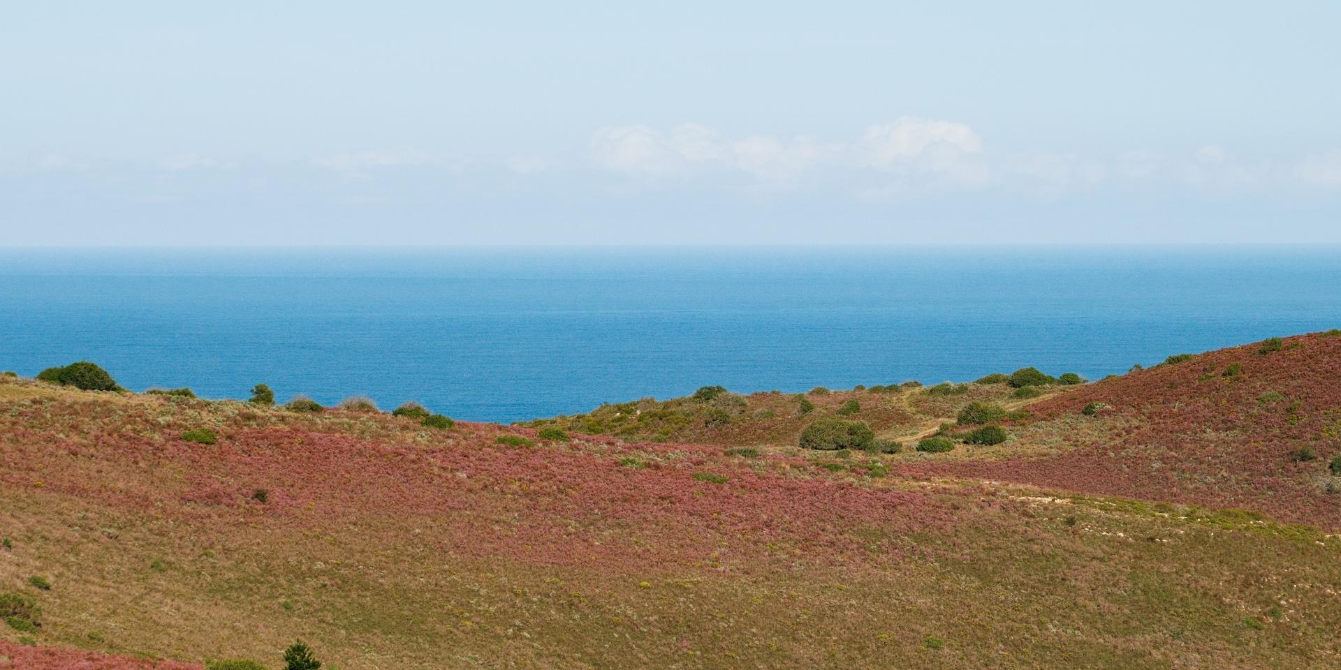 Image 3 of 6