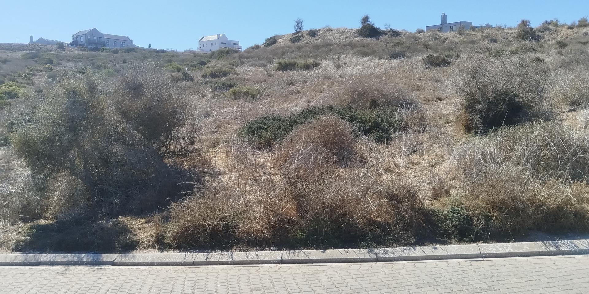Image 2 of 6