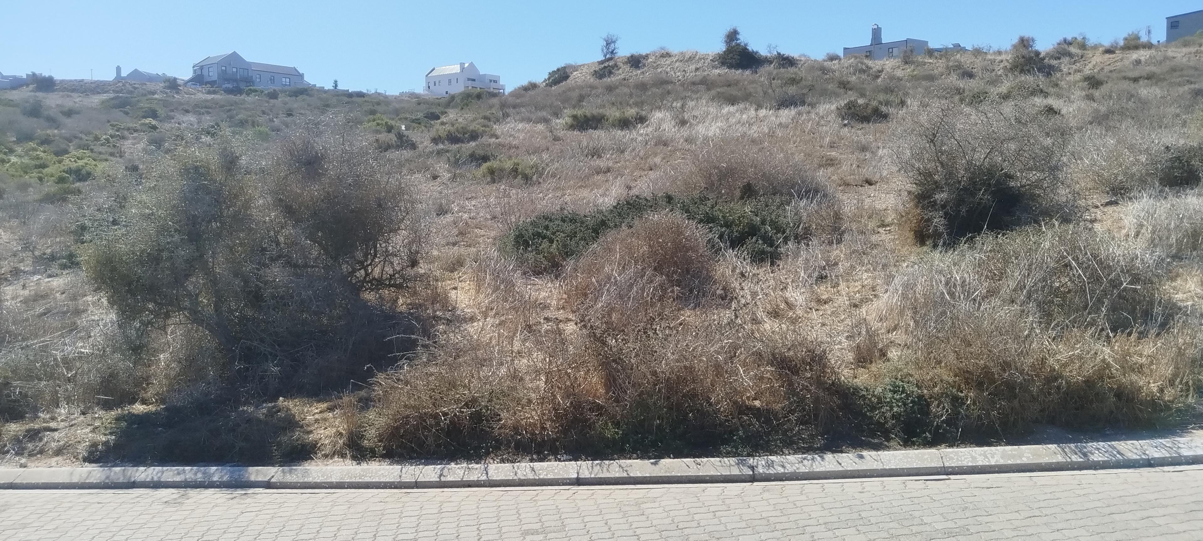 Image 2 of 6