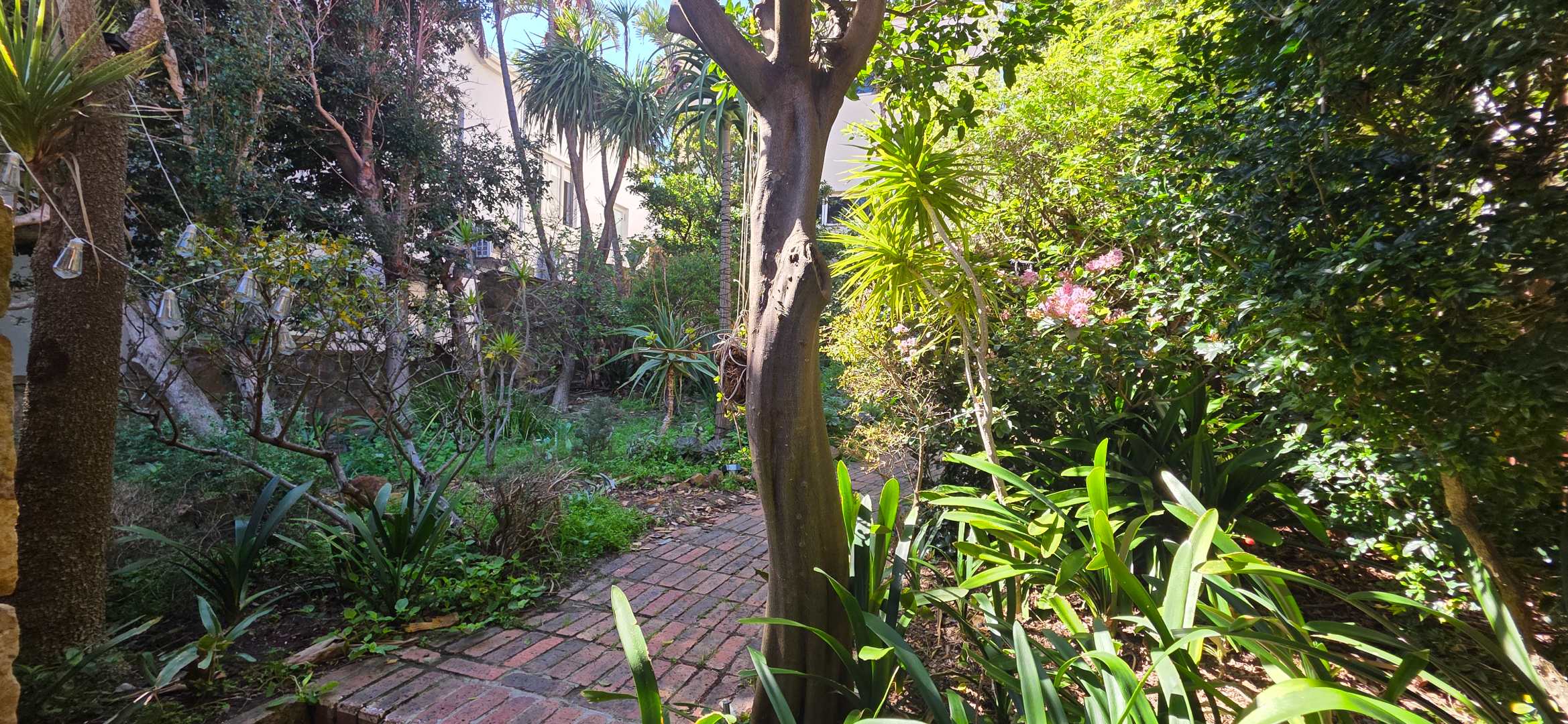 Image 5 of 6