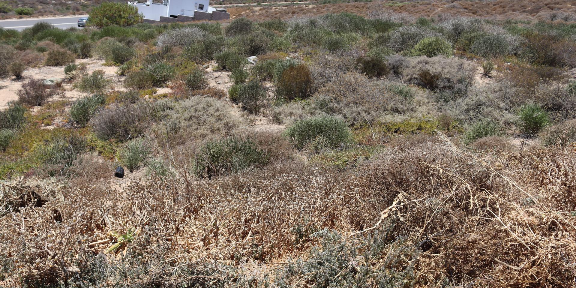 Image 4 of 6