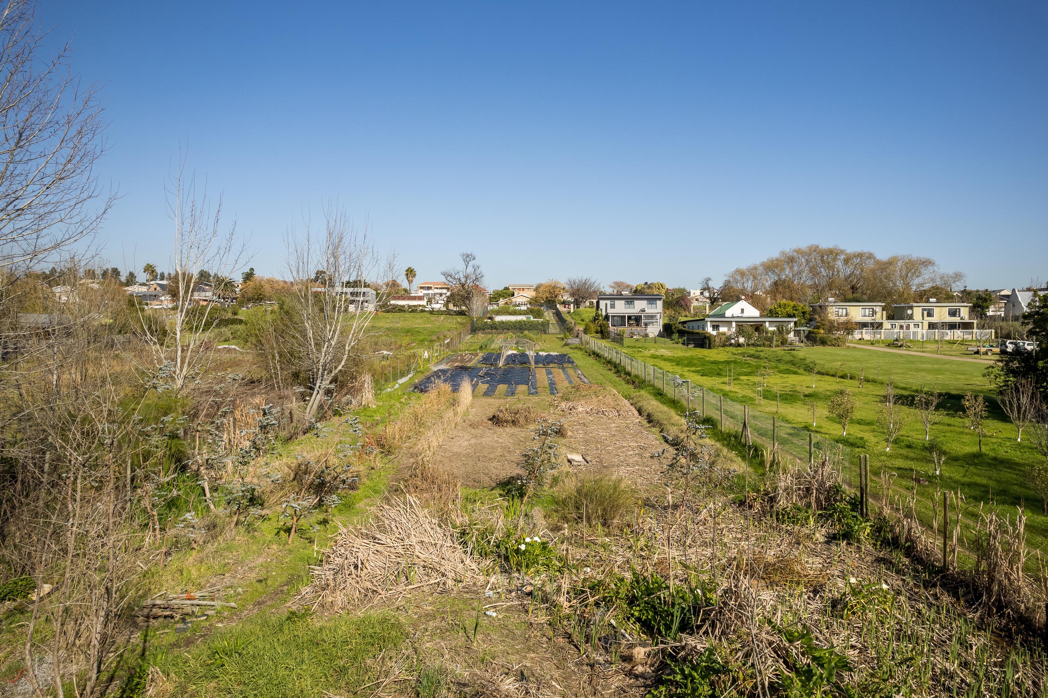 Image 14