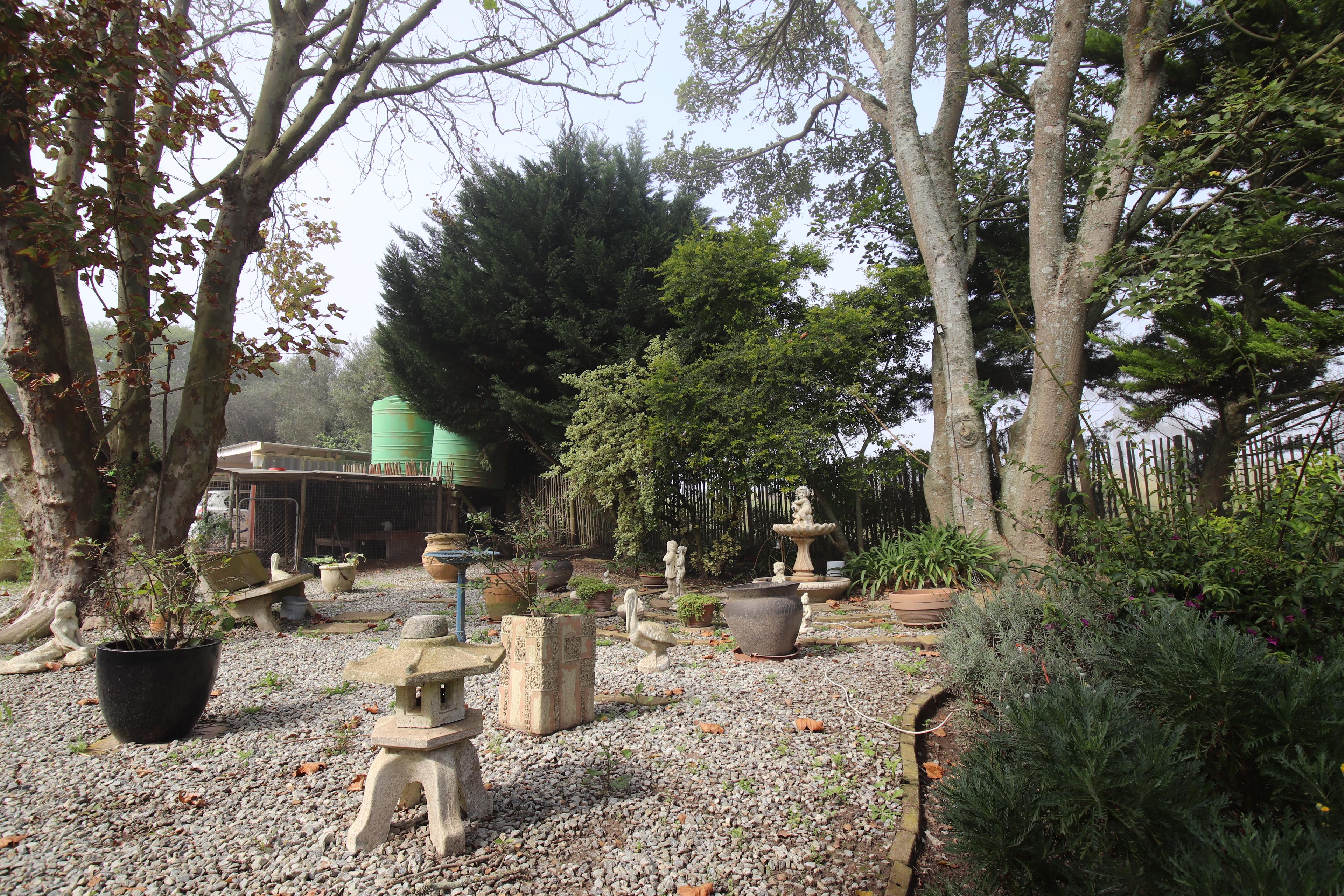 Image 36