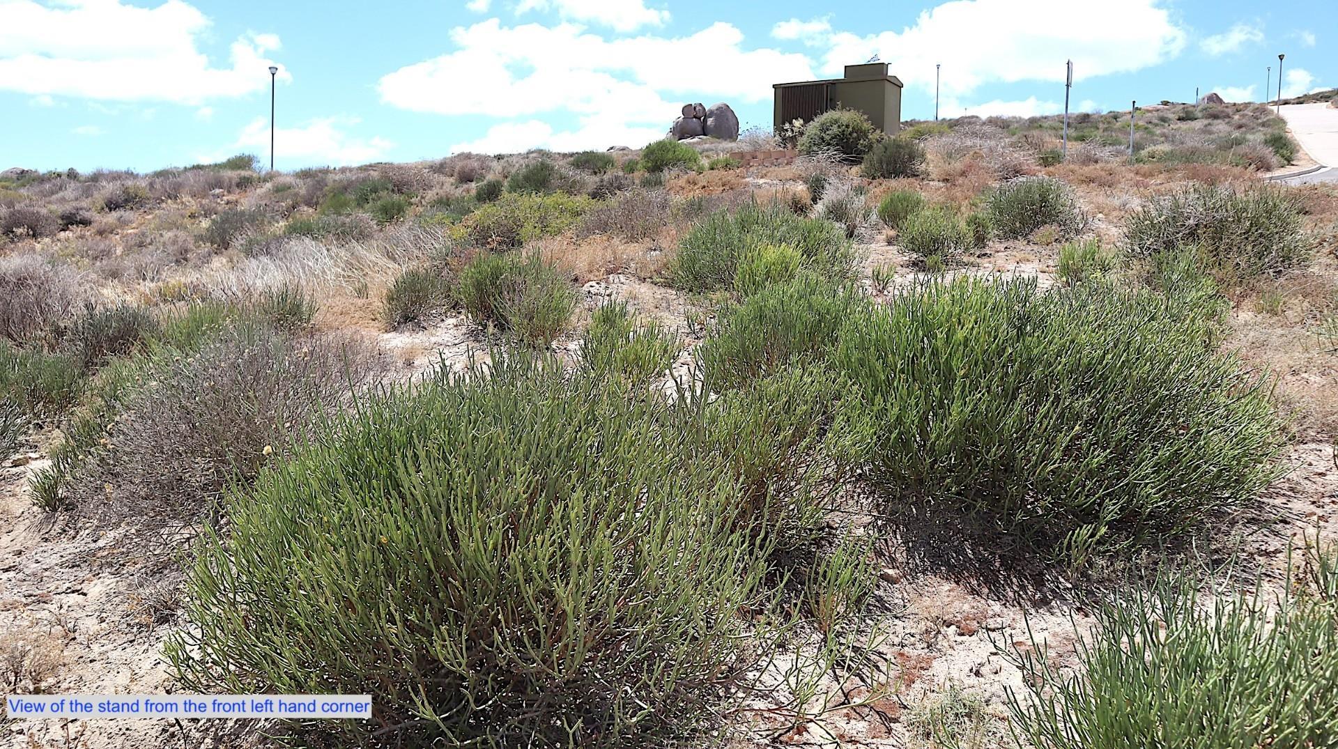 Image 5 of 6