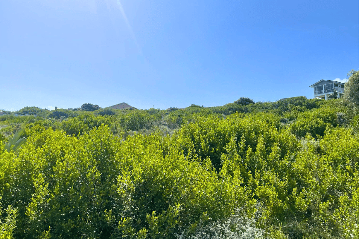 Image 4 of 6