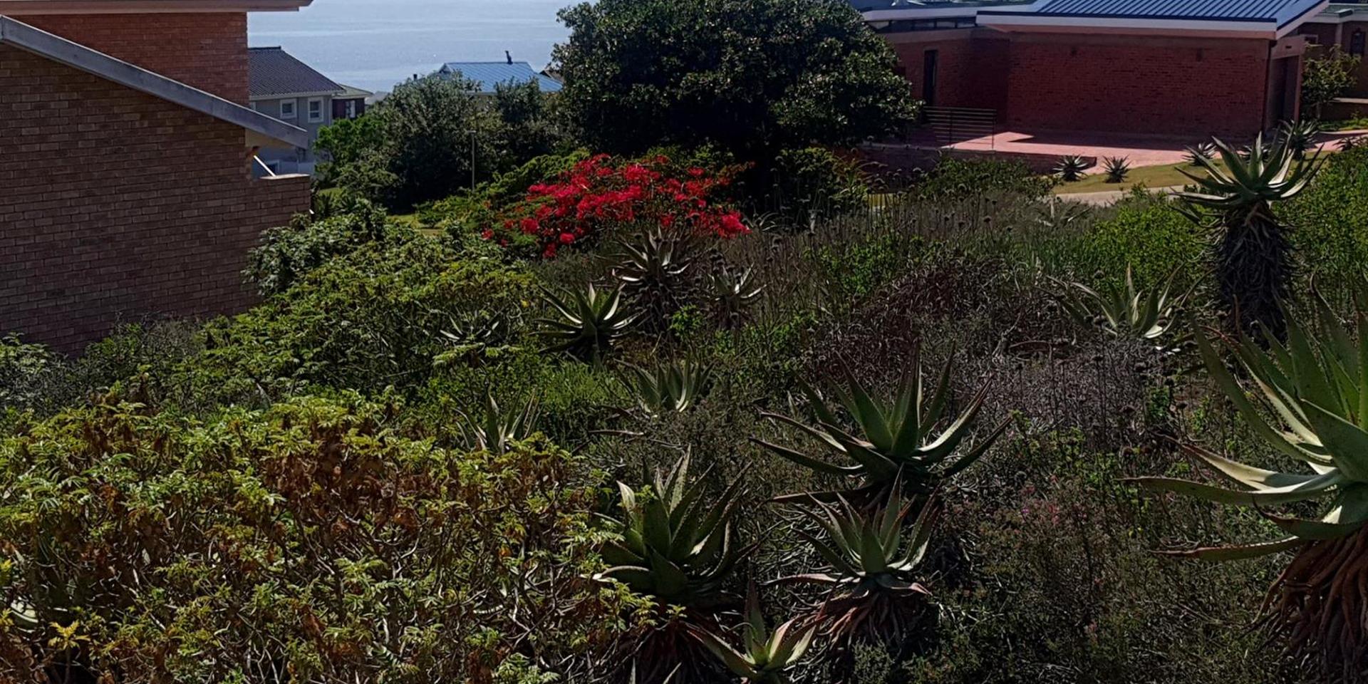 Image 4 of 6
