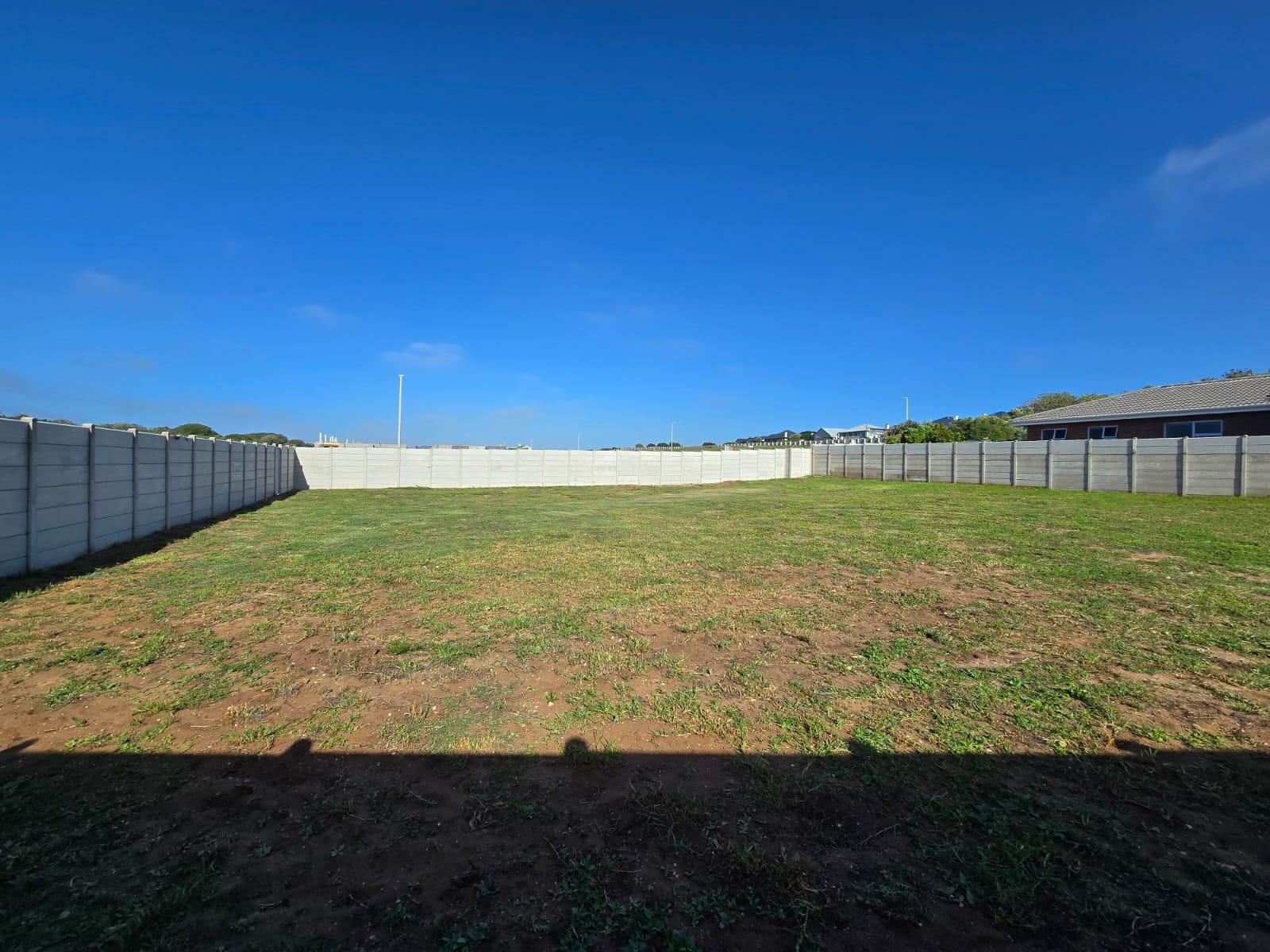Image 4 of 6