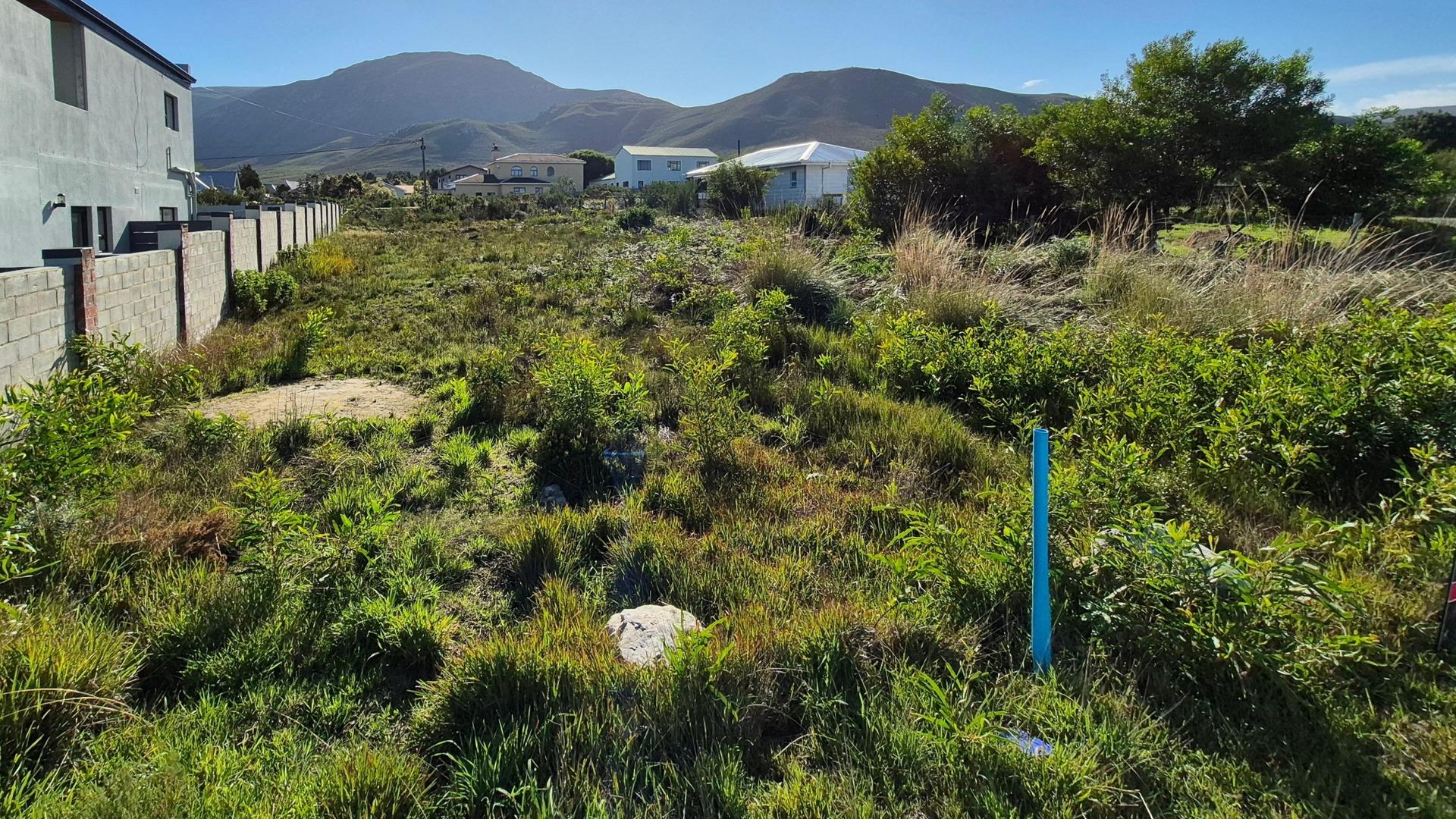 Image 12