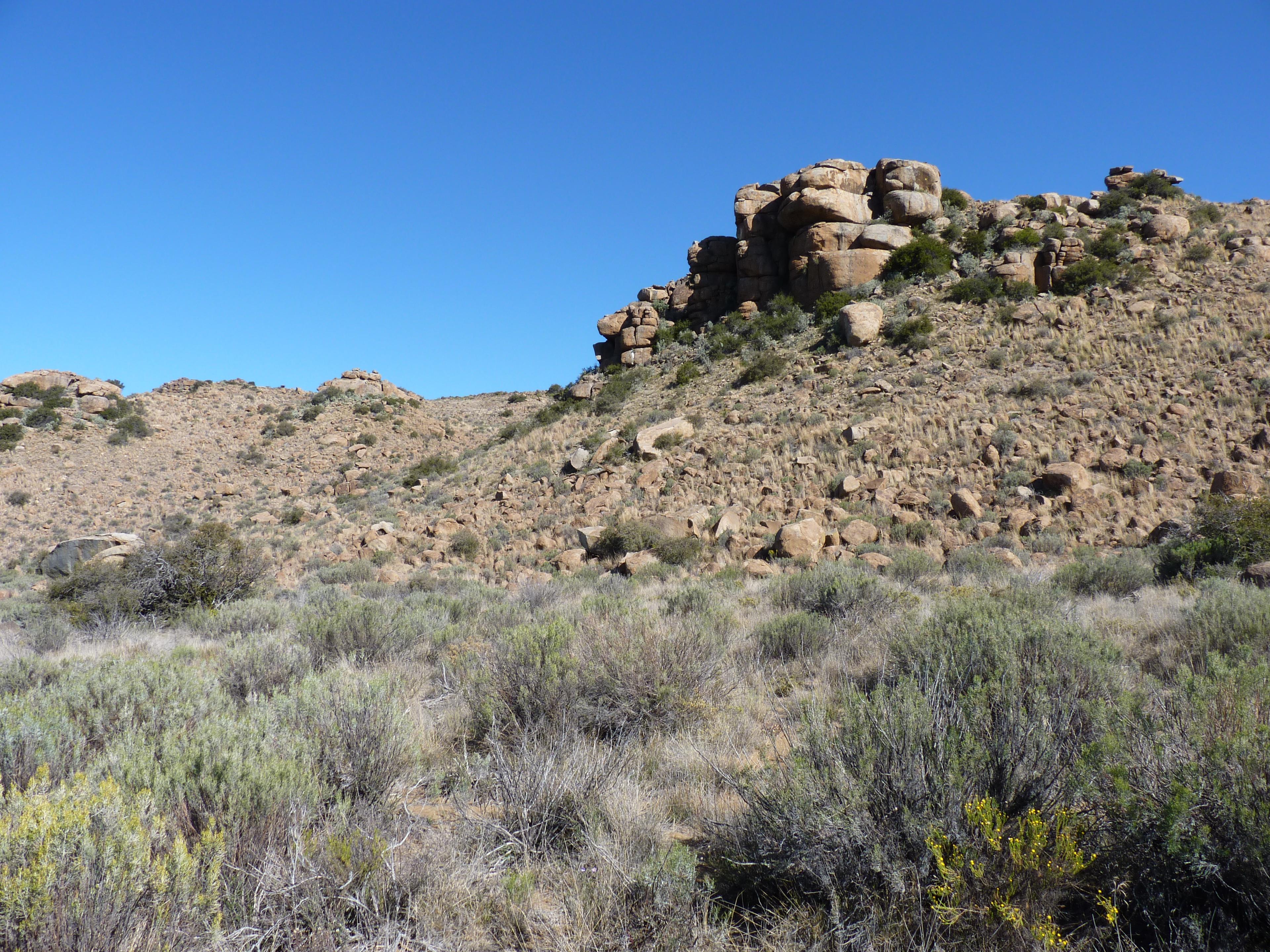 Image 34