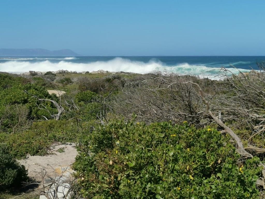 Image 4 of 6