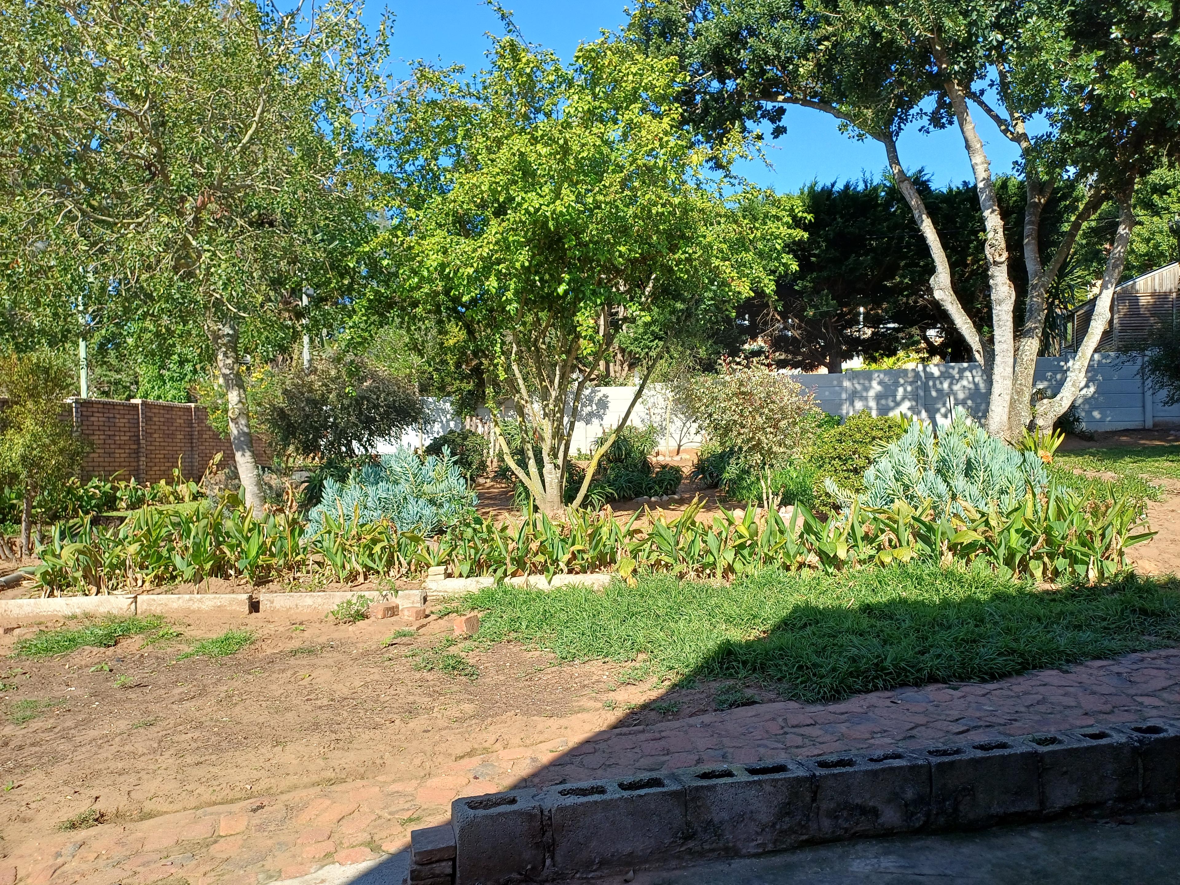Image 33