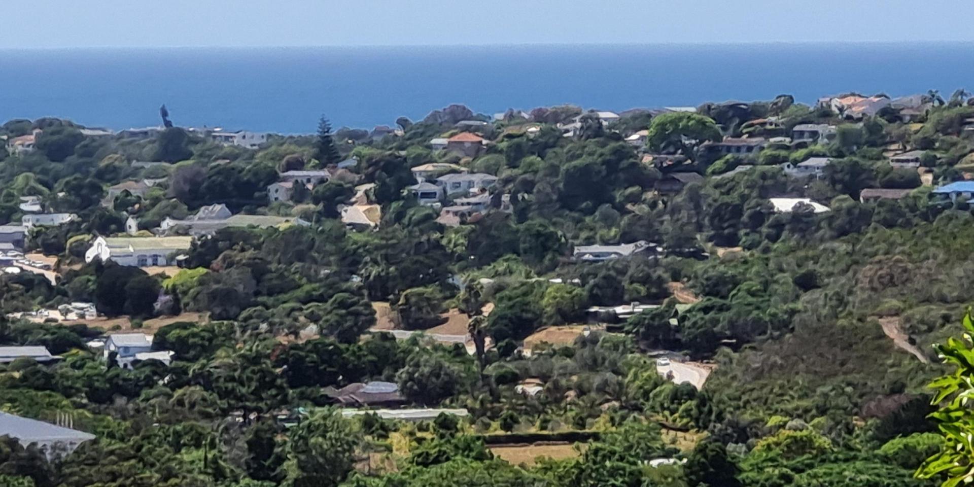 Image 5 of 6