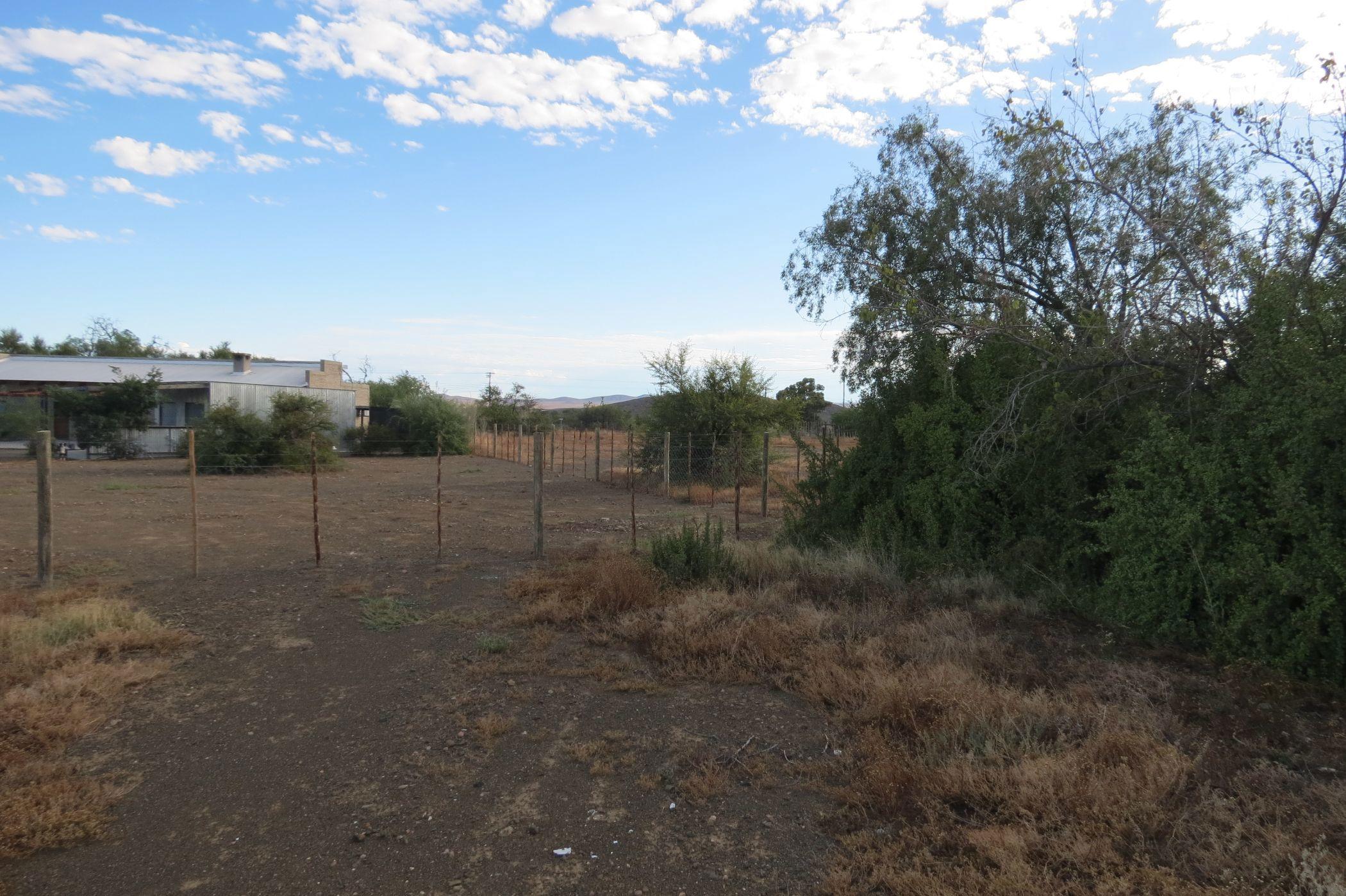 Image 19