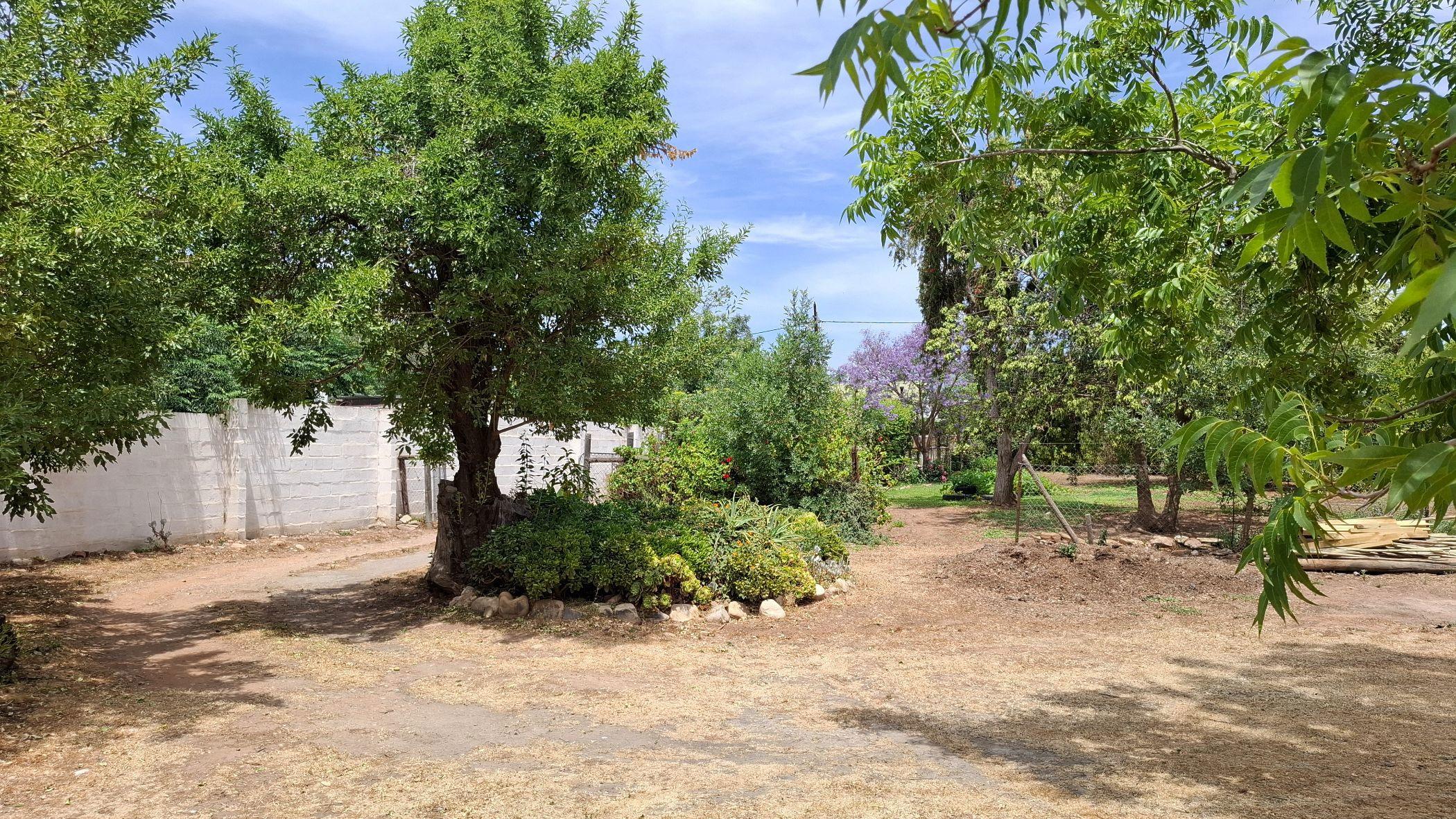 Image 15
