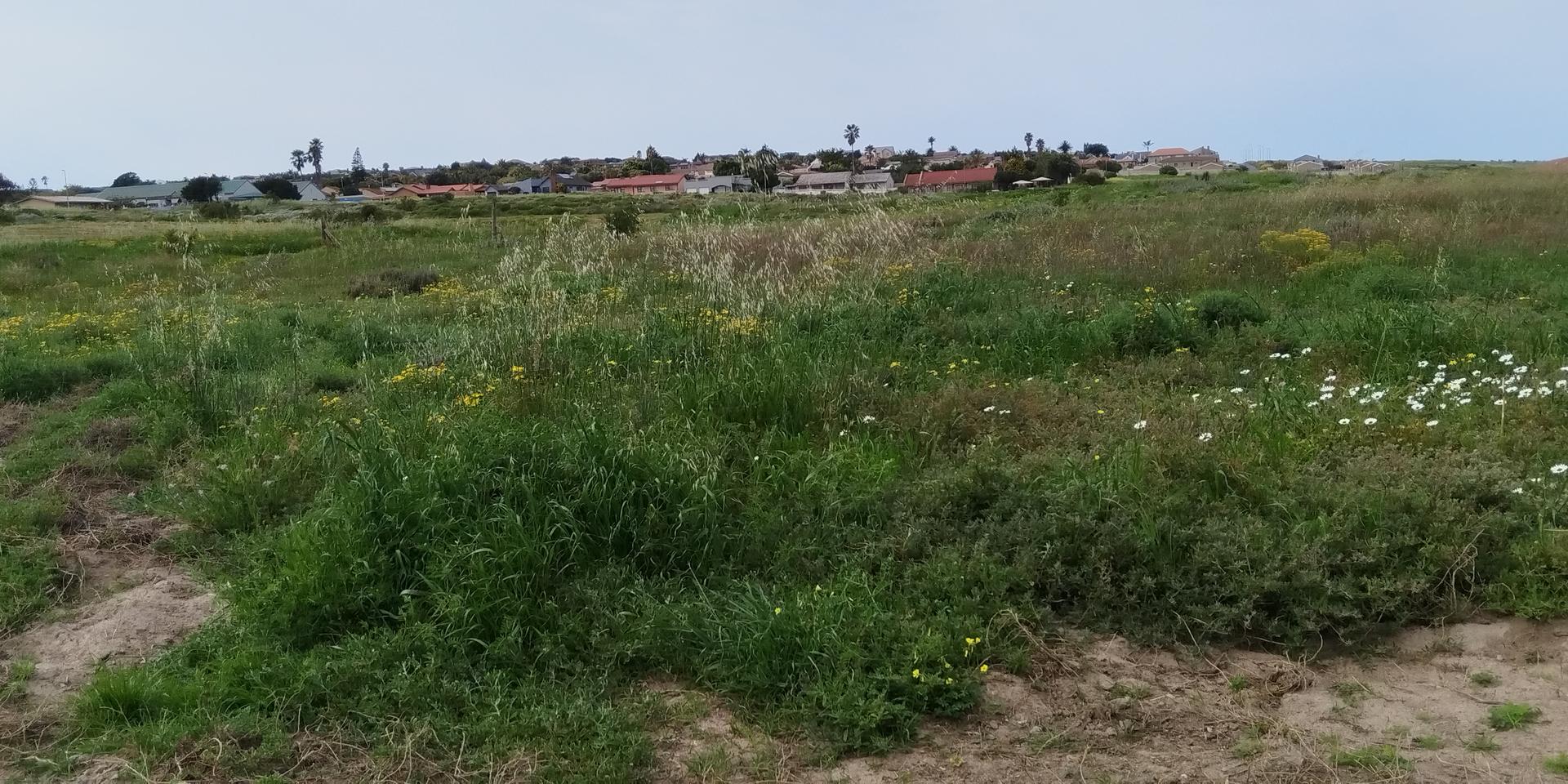 Image 4 of 6