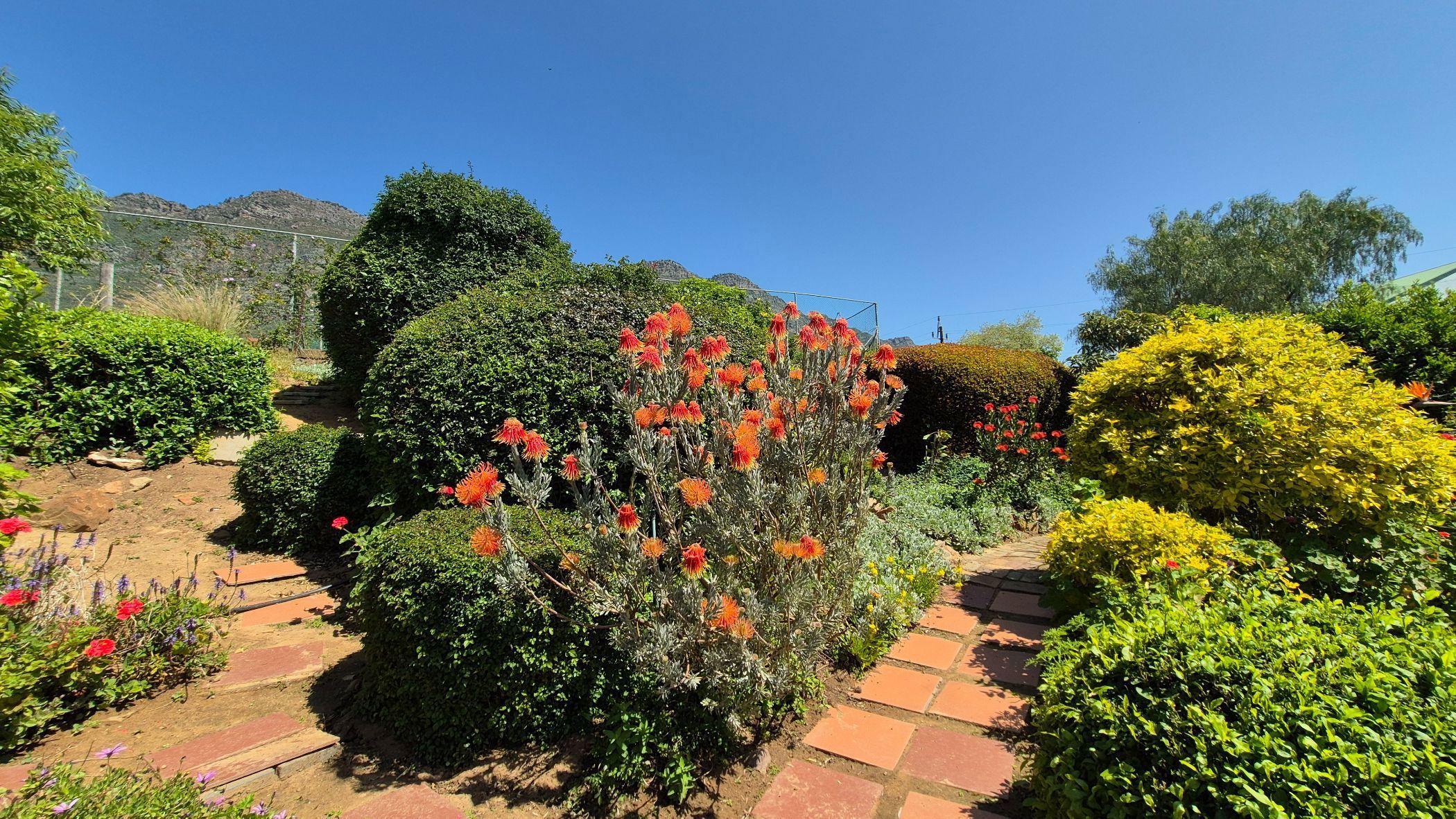 Image 13