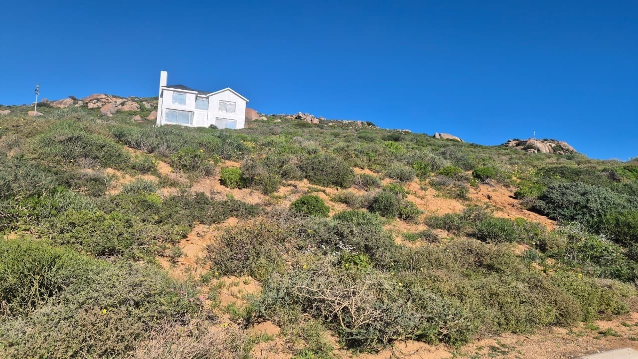 Image 8