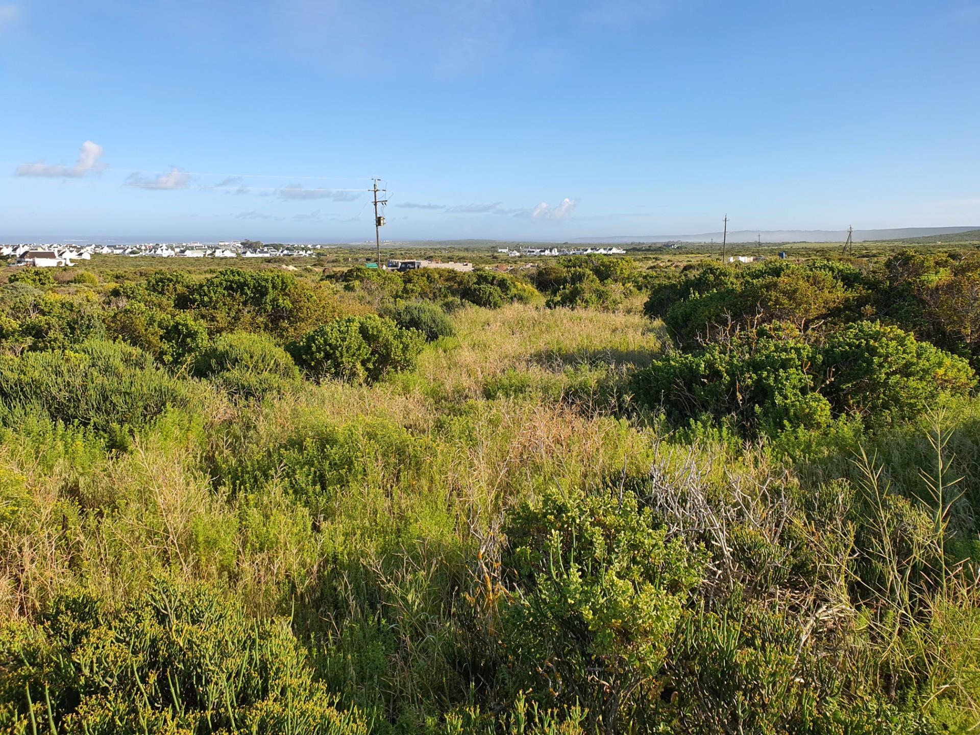 Image 10