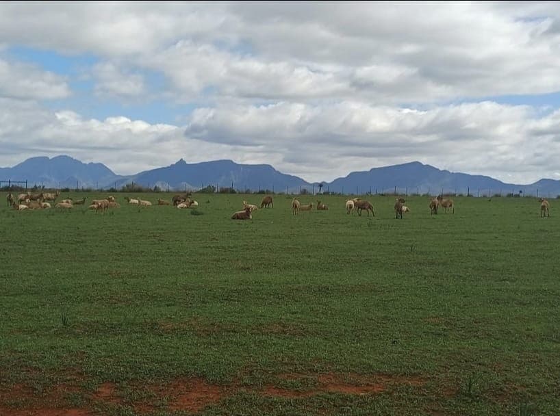 Image 10