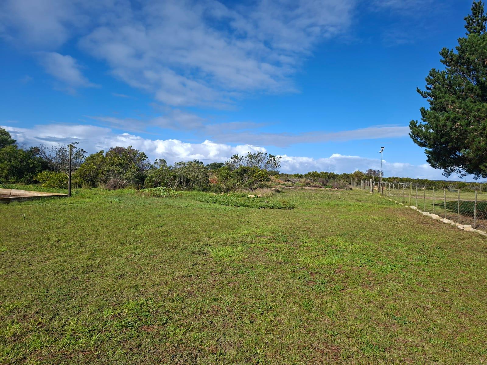 Image 12
