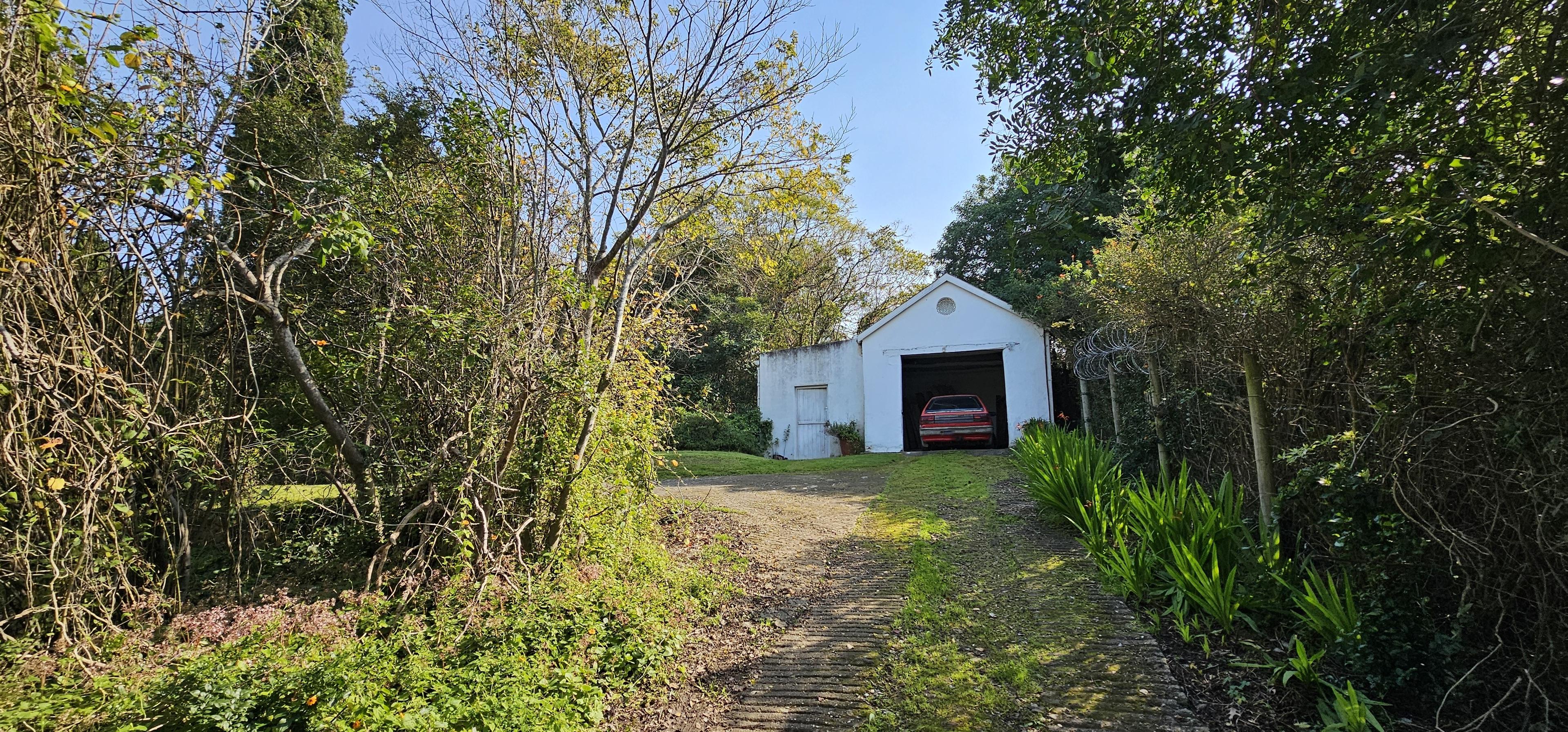 Image 36