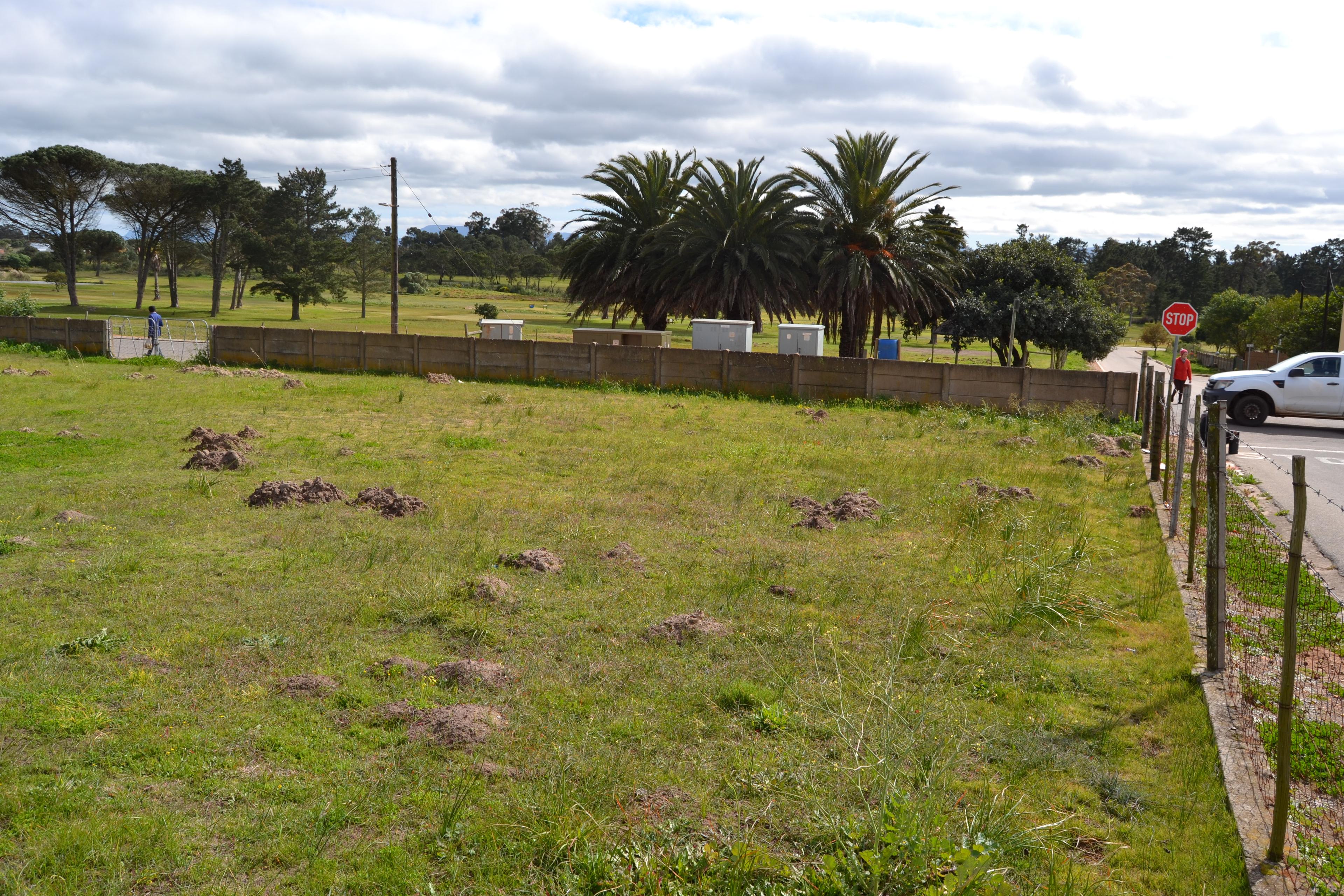 Image 13