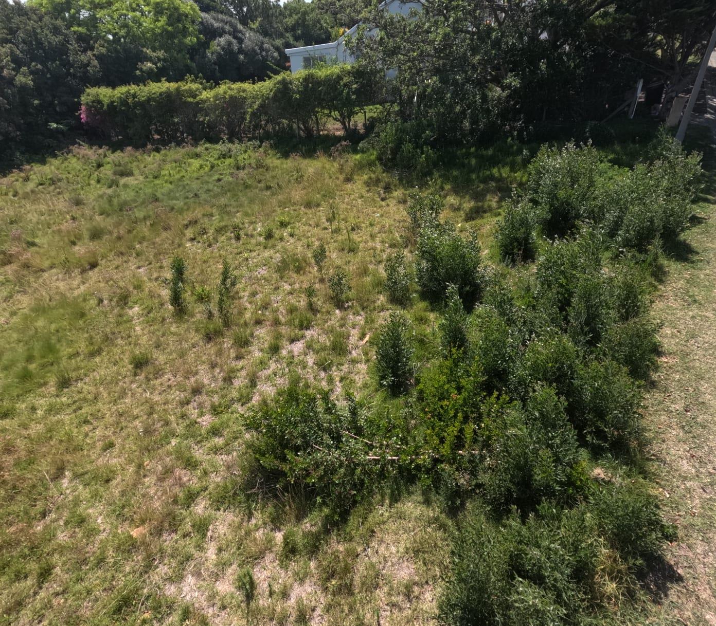 Image 5 of 6