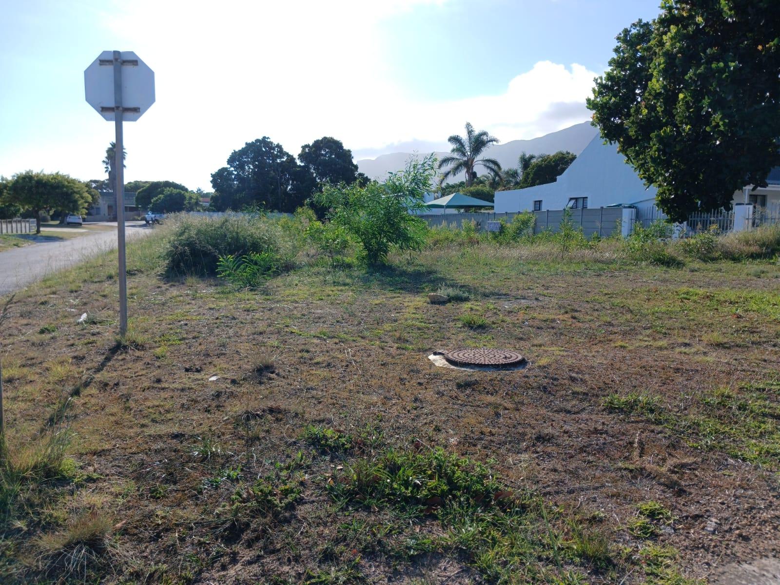 Image 10