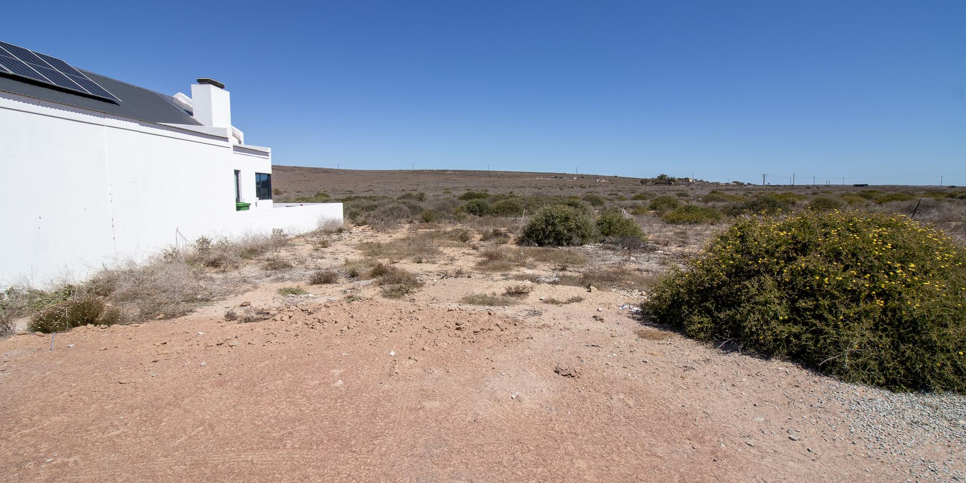 Image 4 of 6