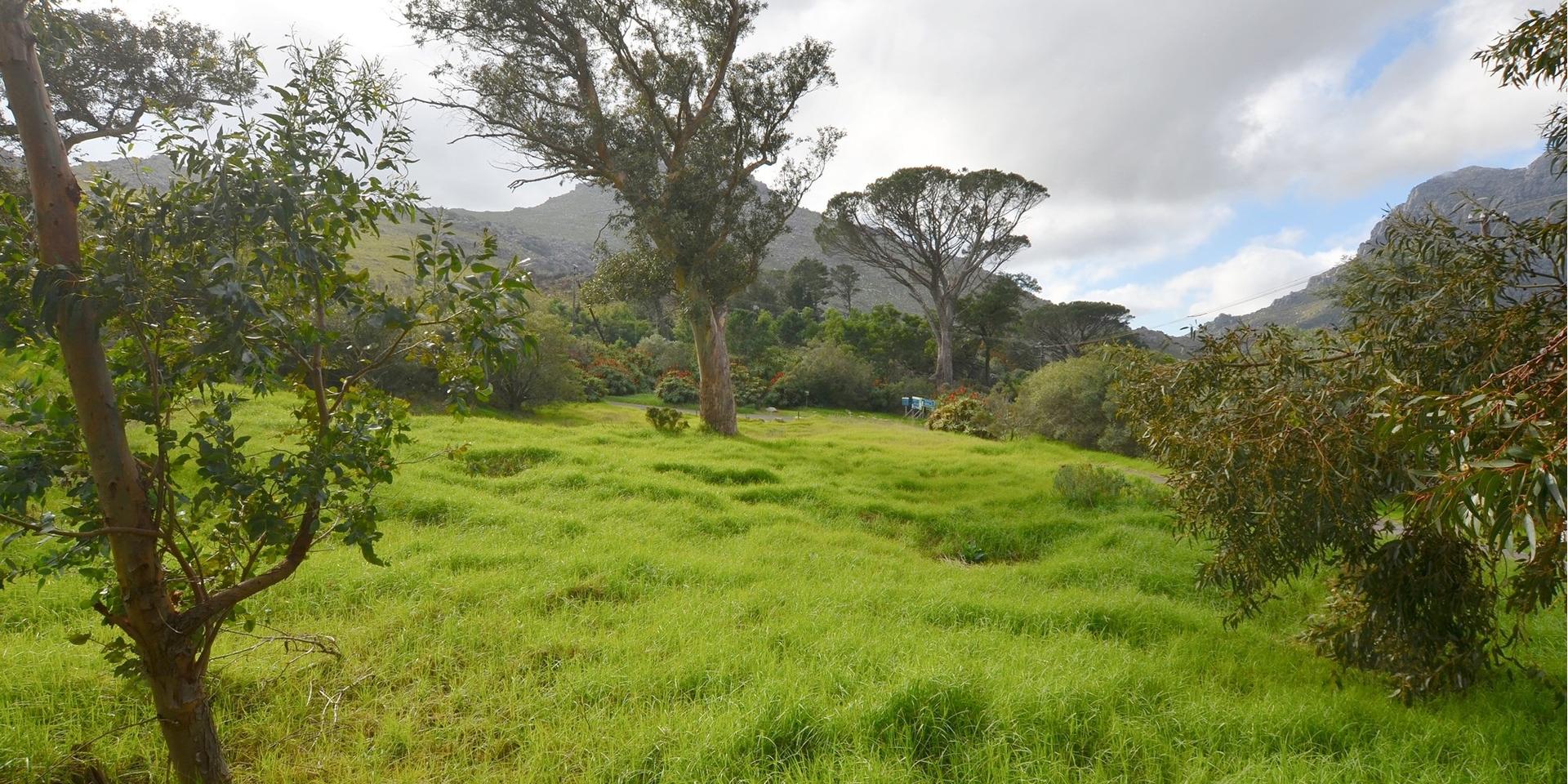 Image 4 of 6