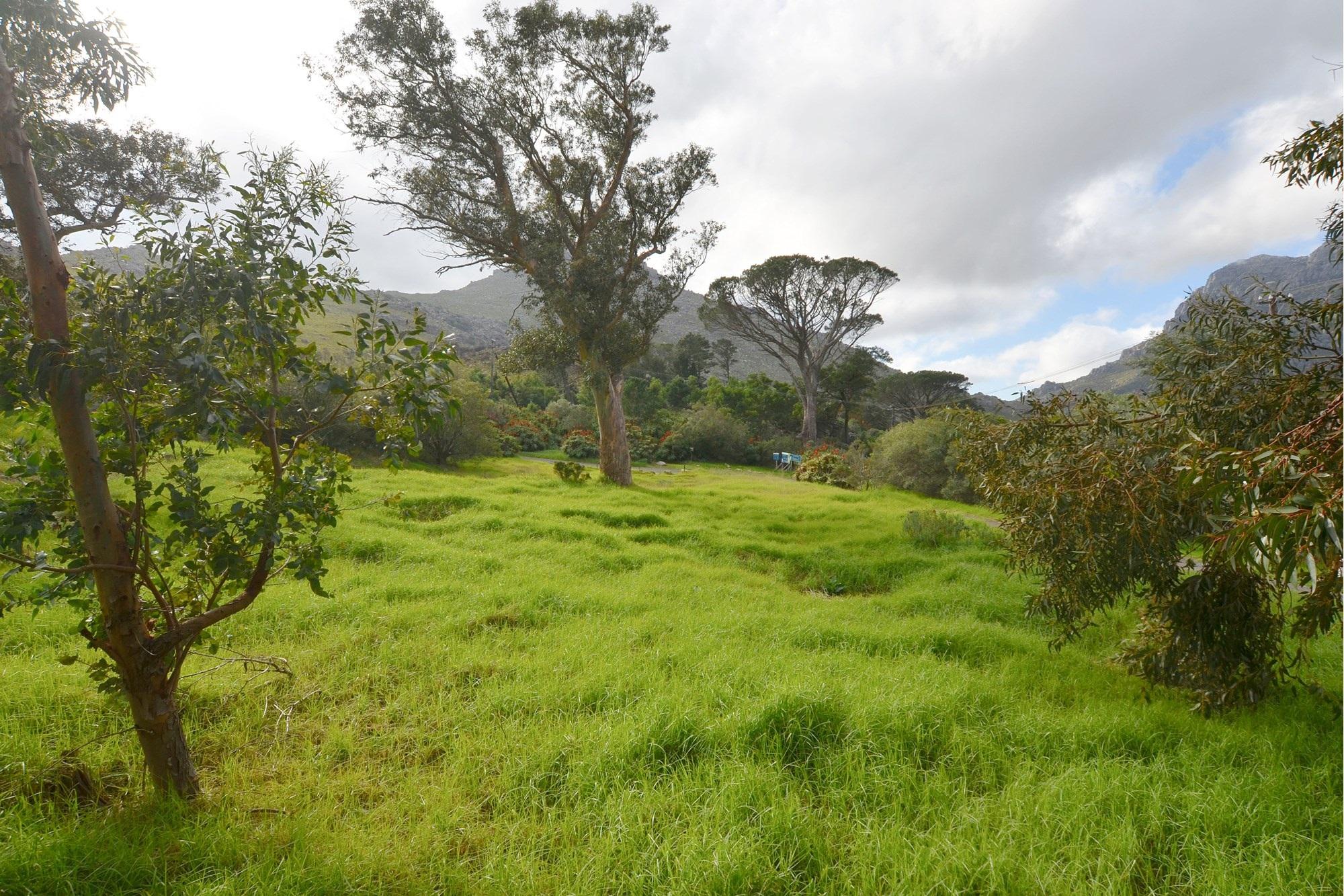 Image 4 of 6