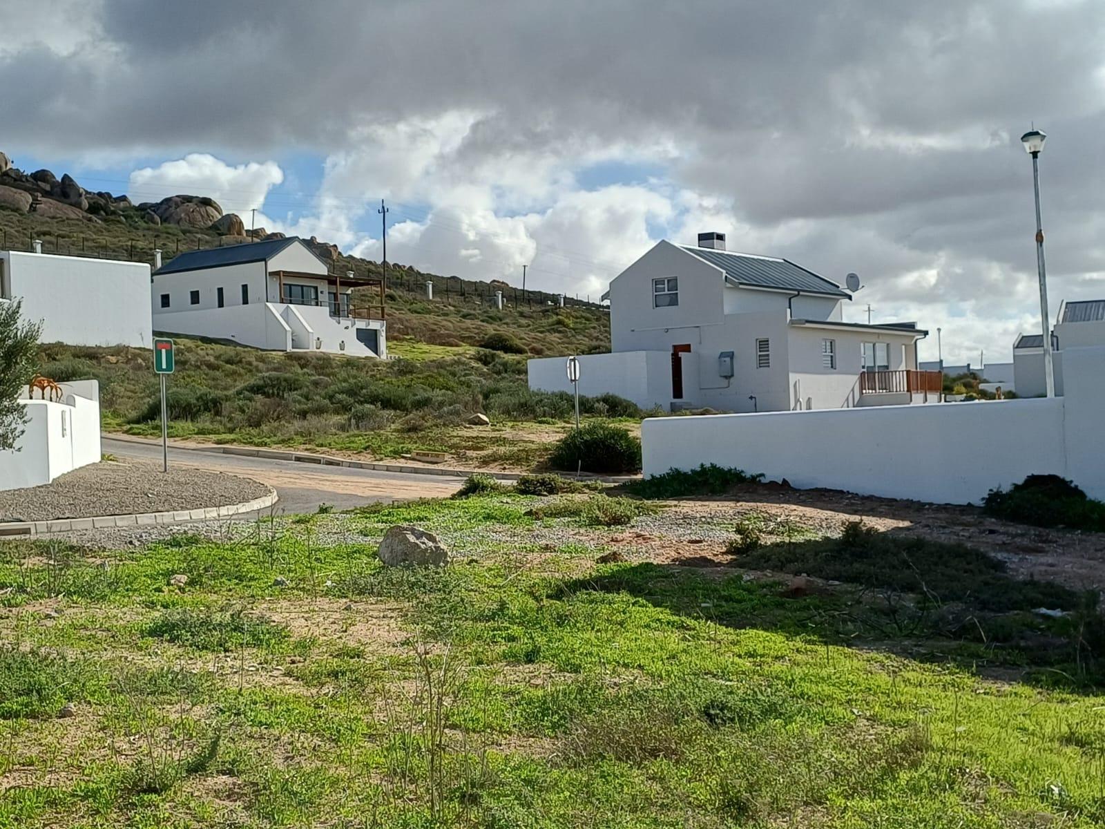 Image 14