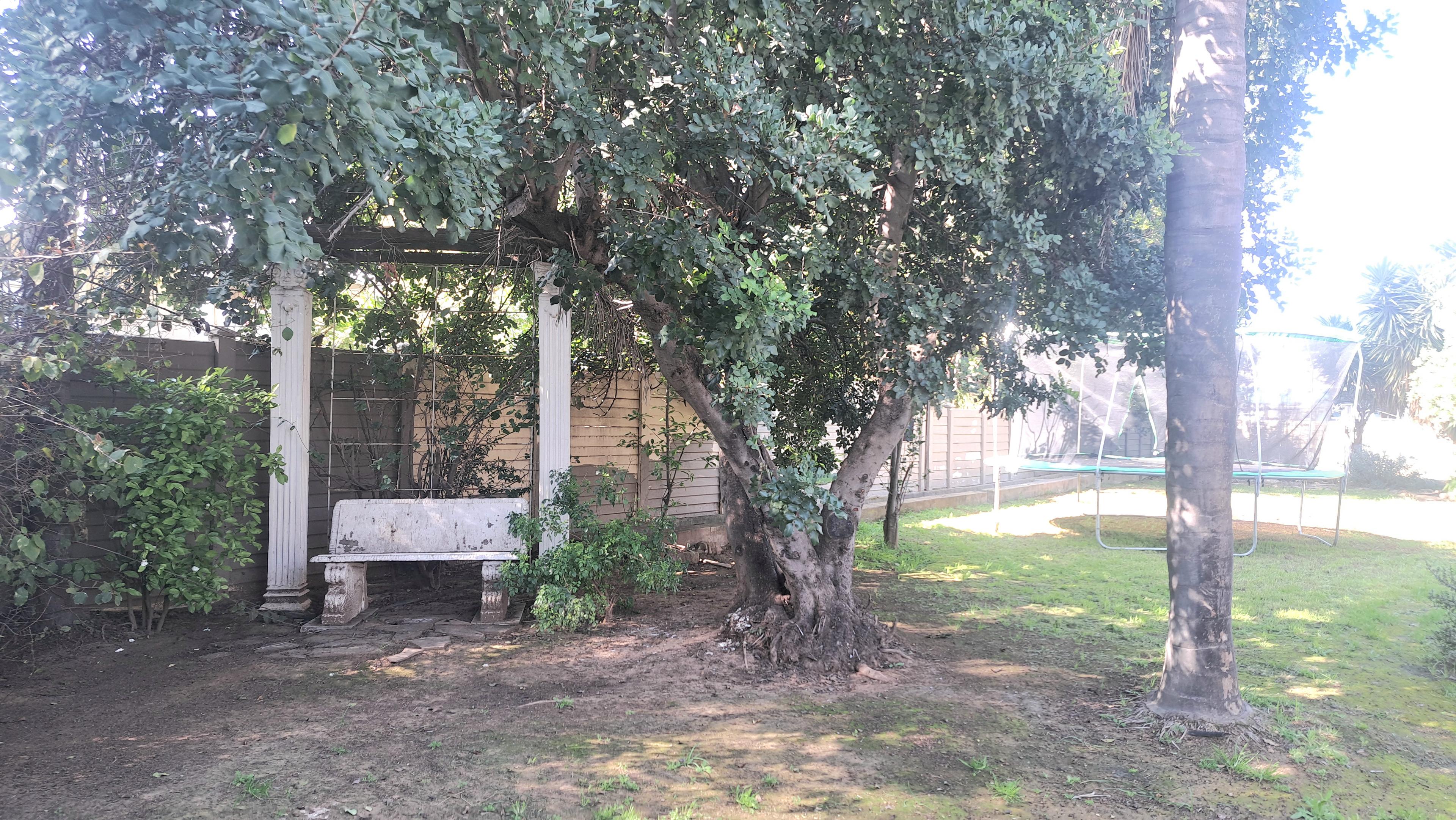 Image 20