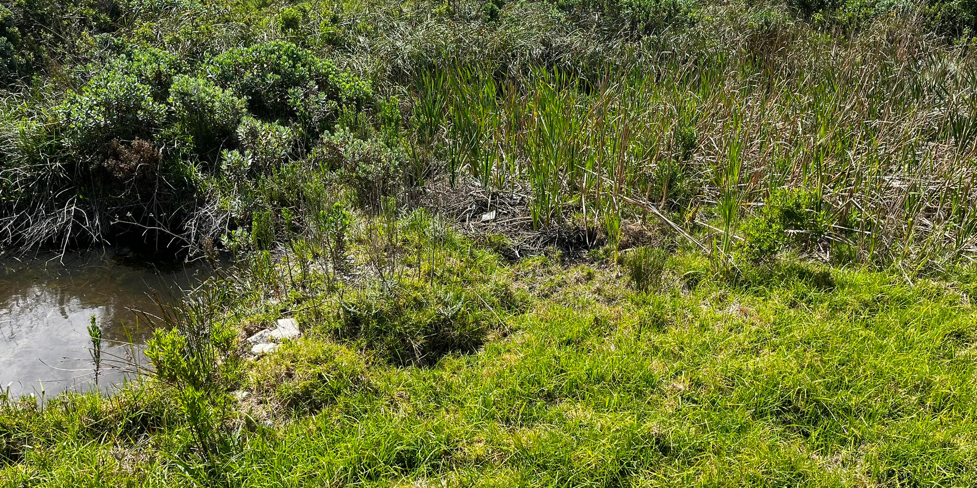 Image 3 of 6