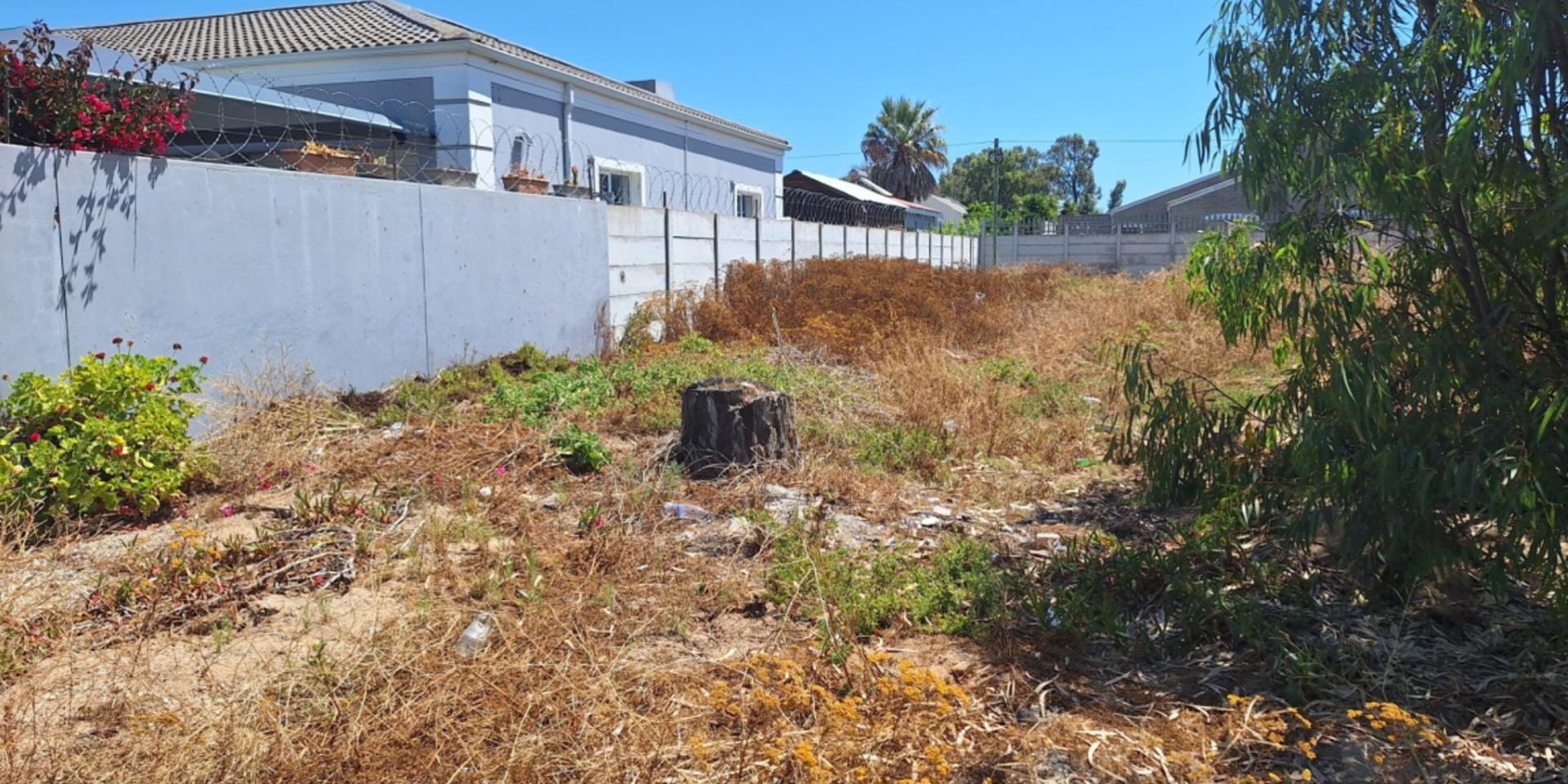 Image 5 of 6