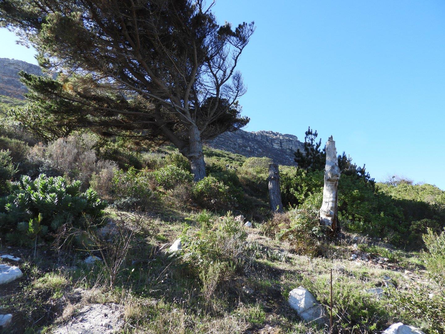 Image 5 of 6