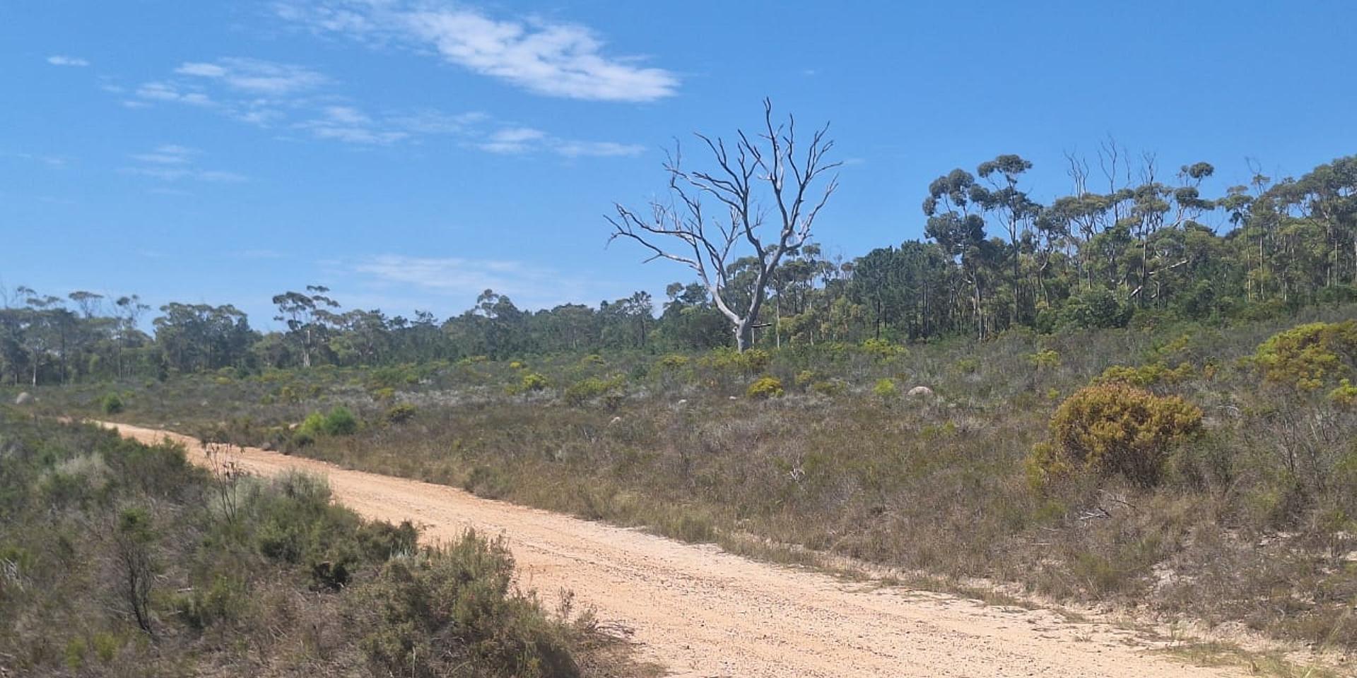 Image 2 of 6