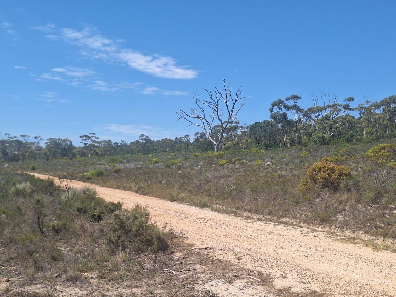 Image 2 of 6