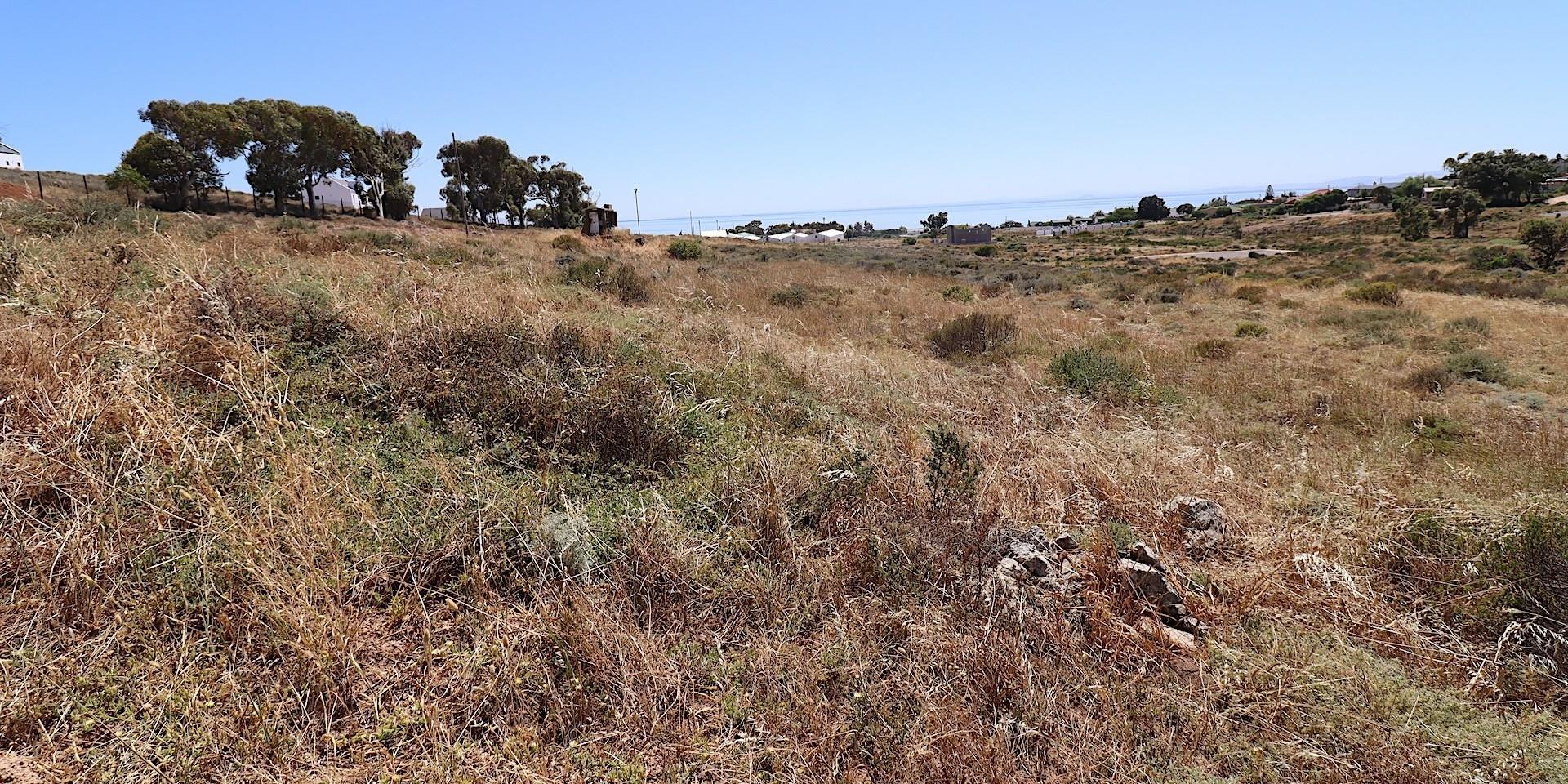 Image 5 of 6