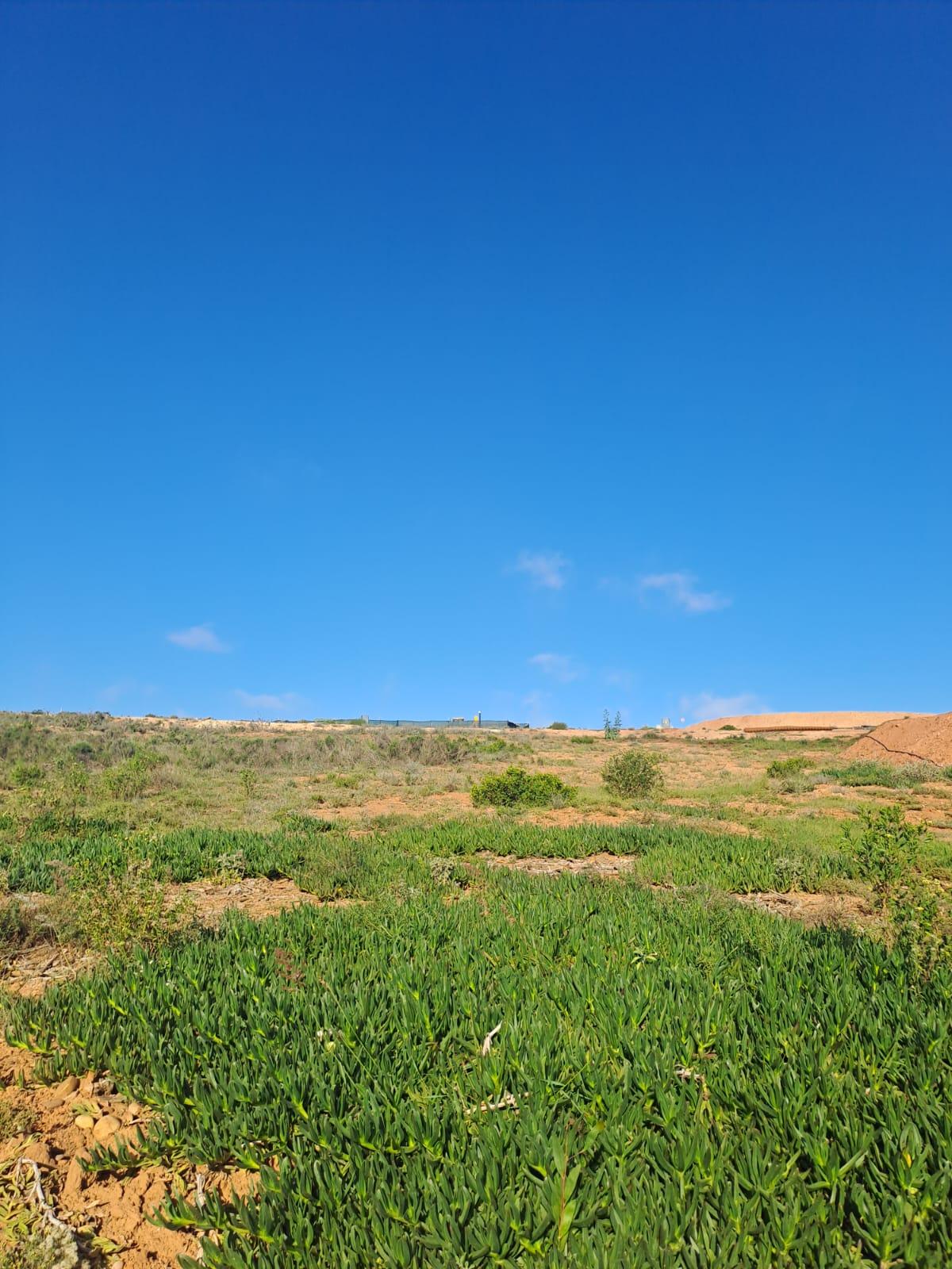 Image 23