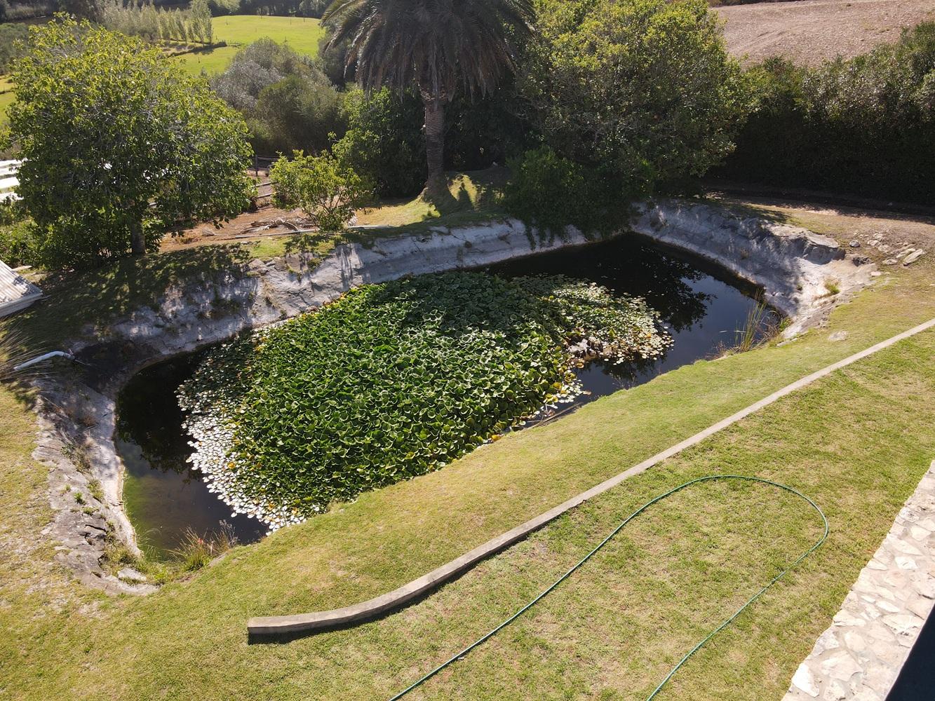 Image 51