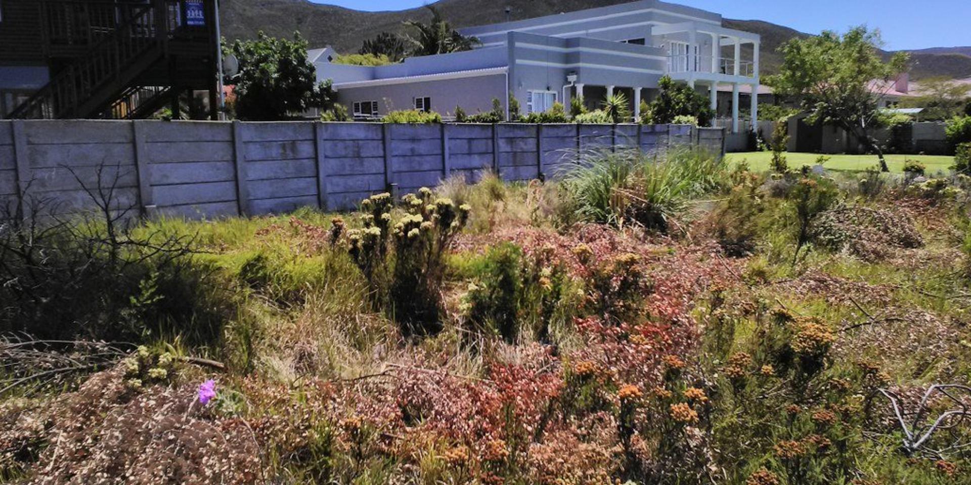 Image 2 of 6