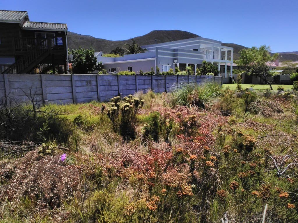 Image 2 of 6
