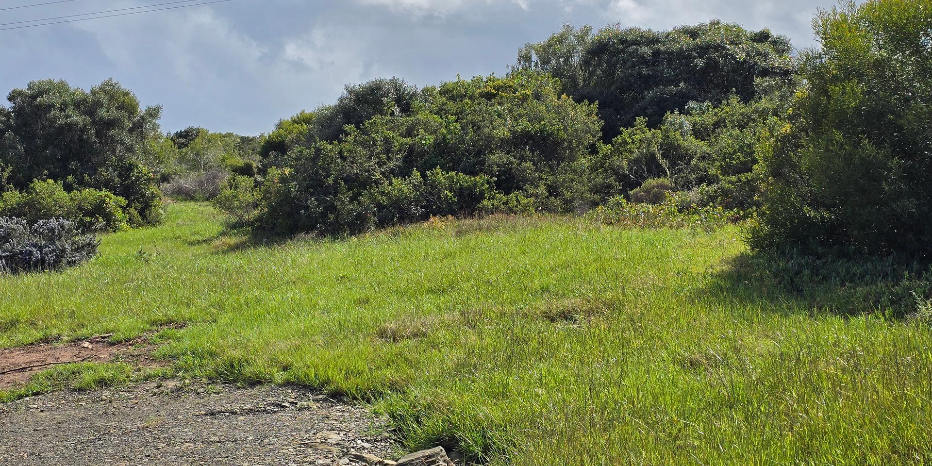 Image 4 of 6