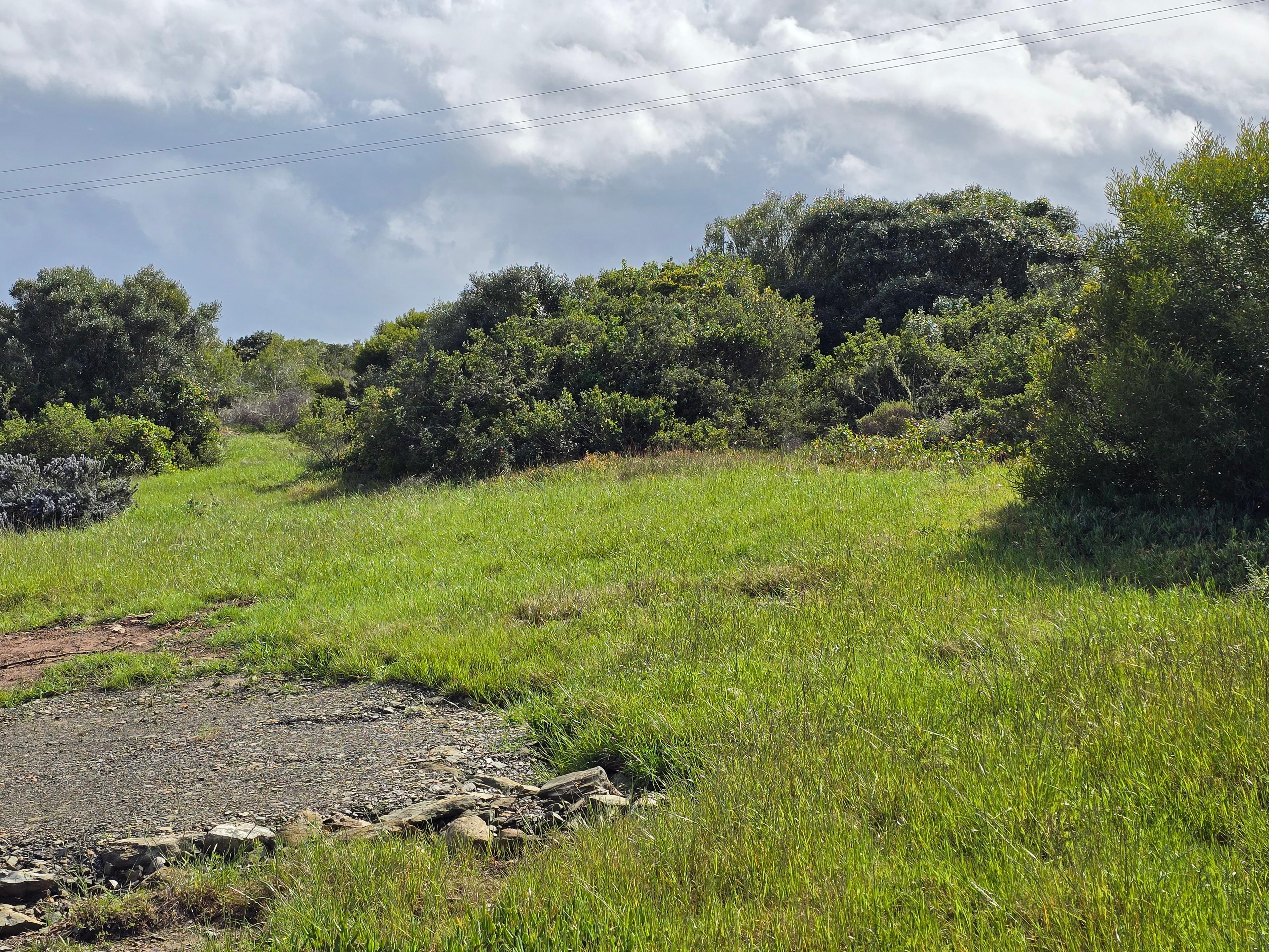 Image 4 of 6