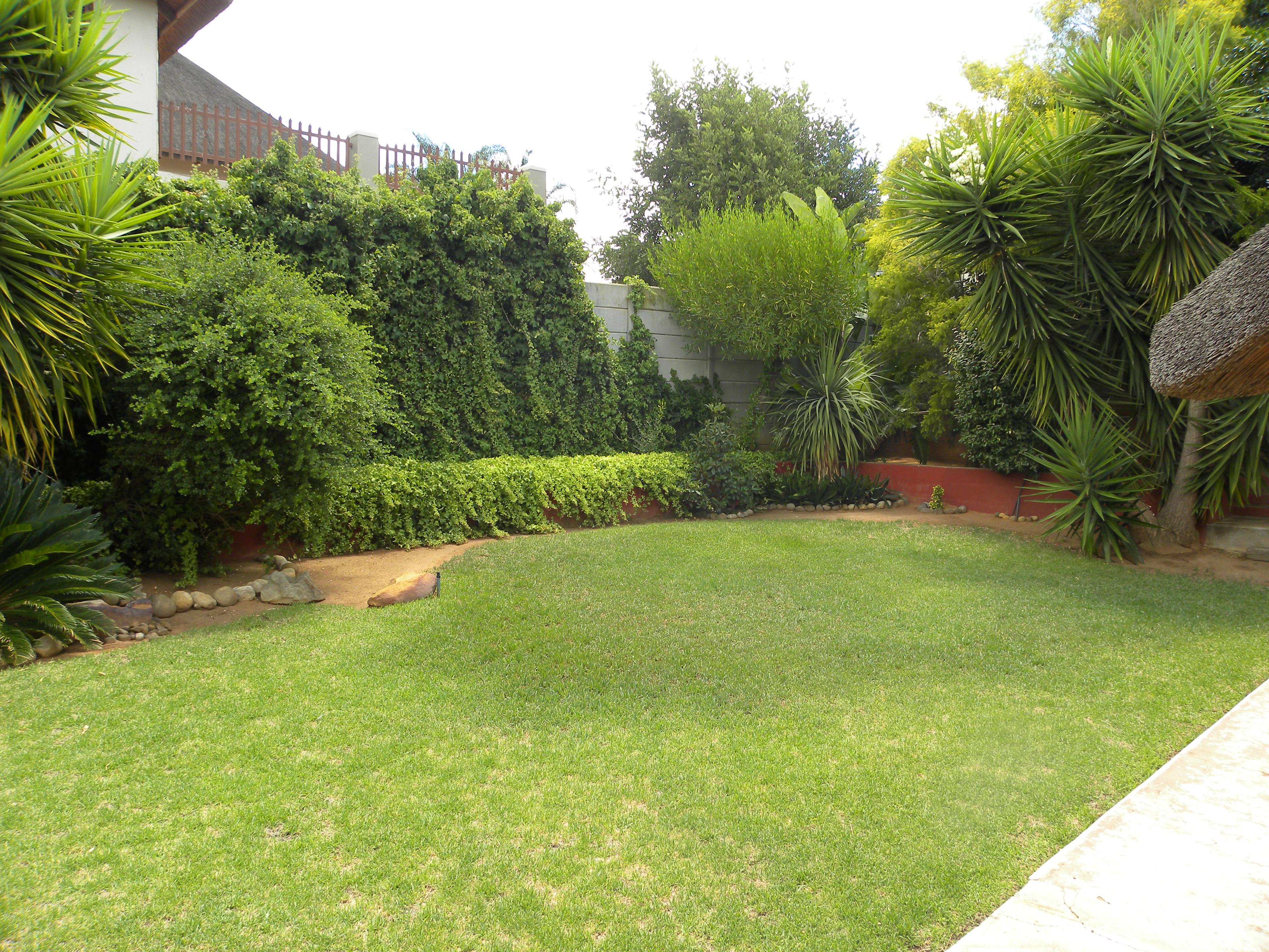 Image 21