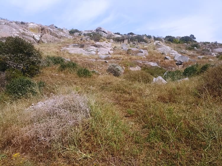 Main property image