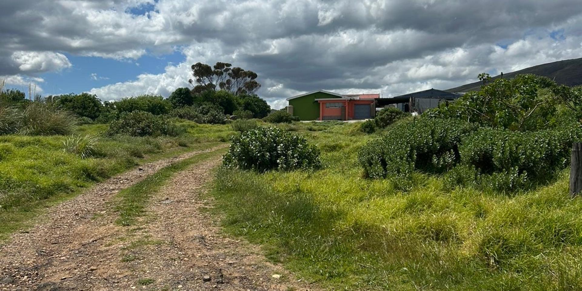 Image 2 of 6